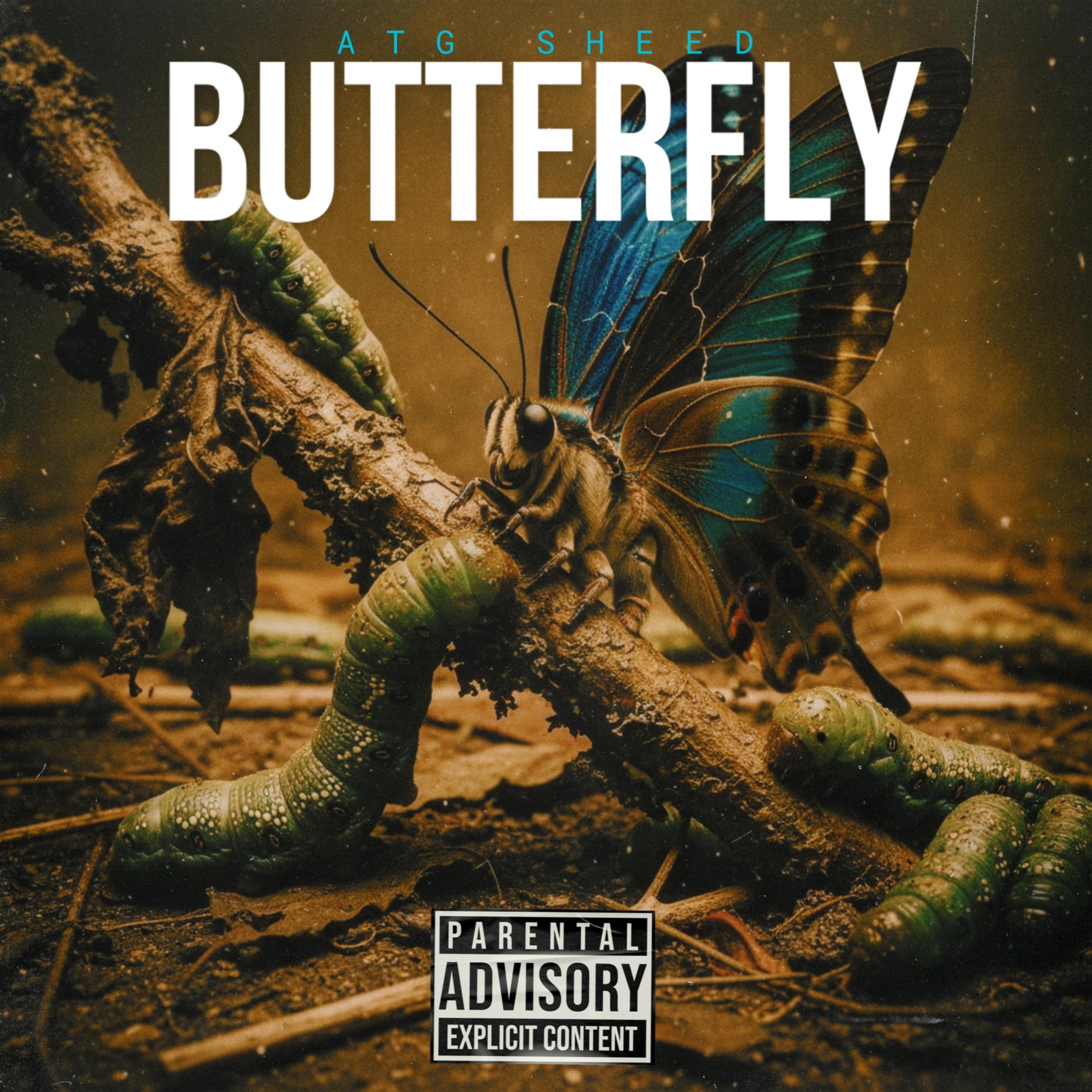 Butterfly artwork