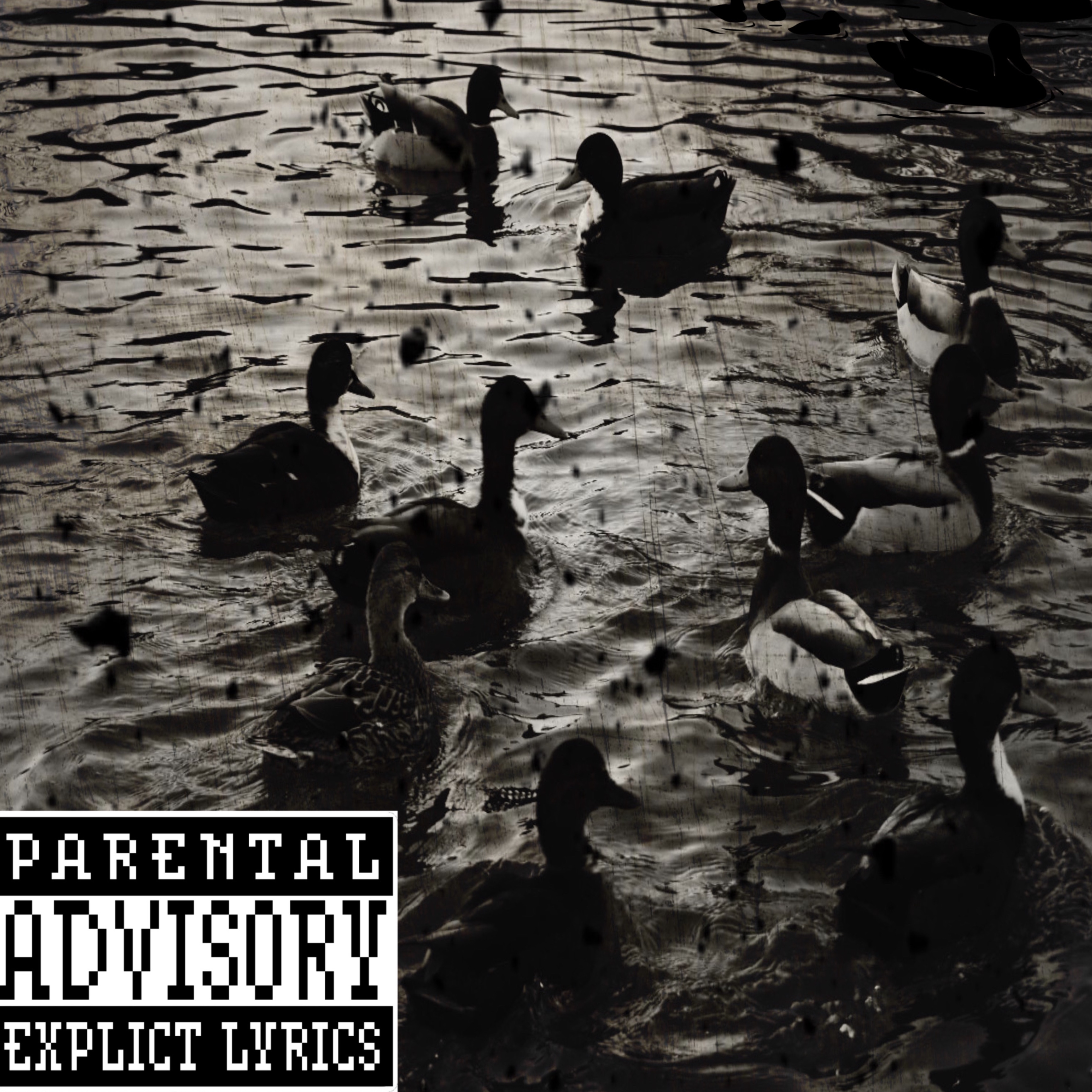 Duck Duck Goose artwork