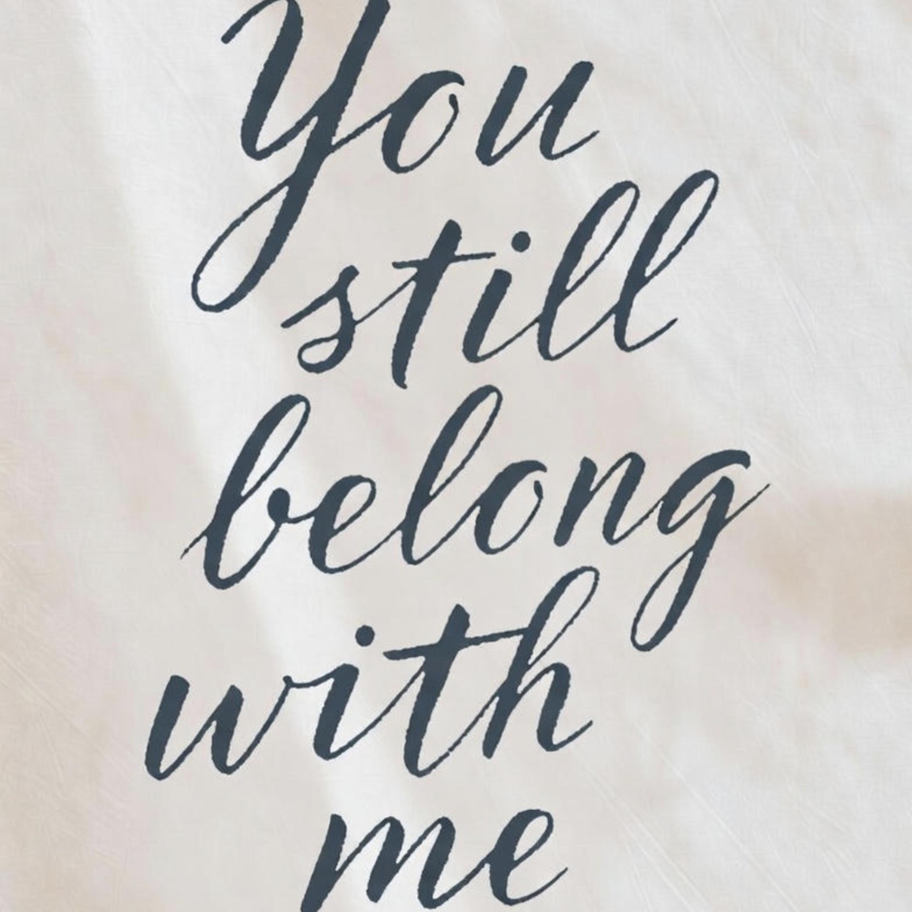 You Still Belong With Me artwork