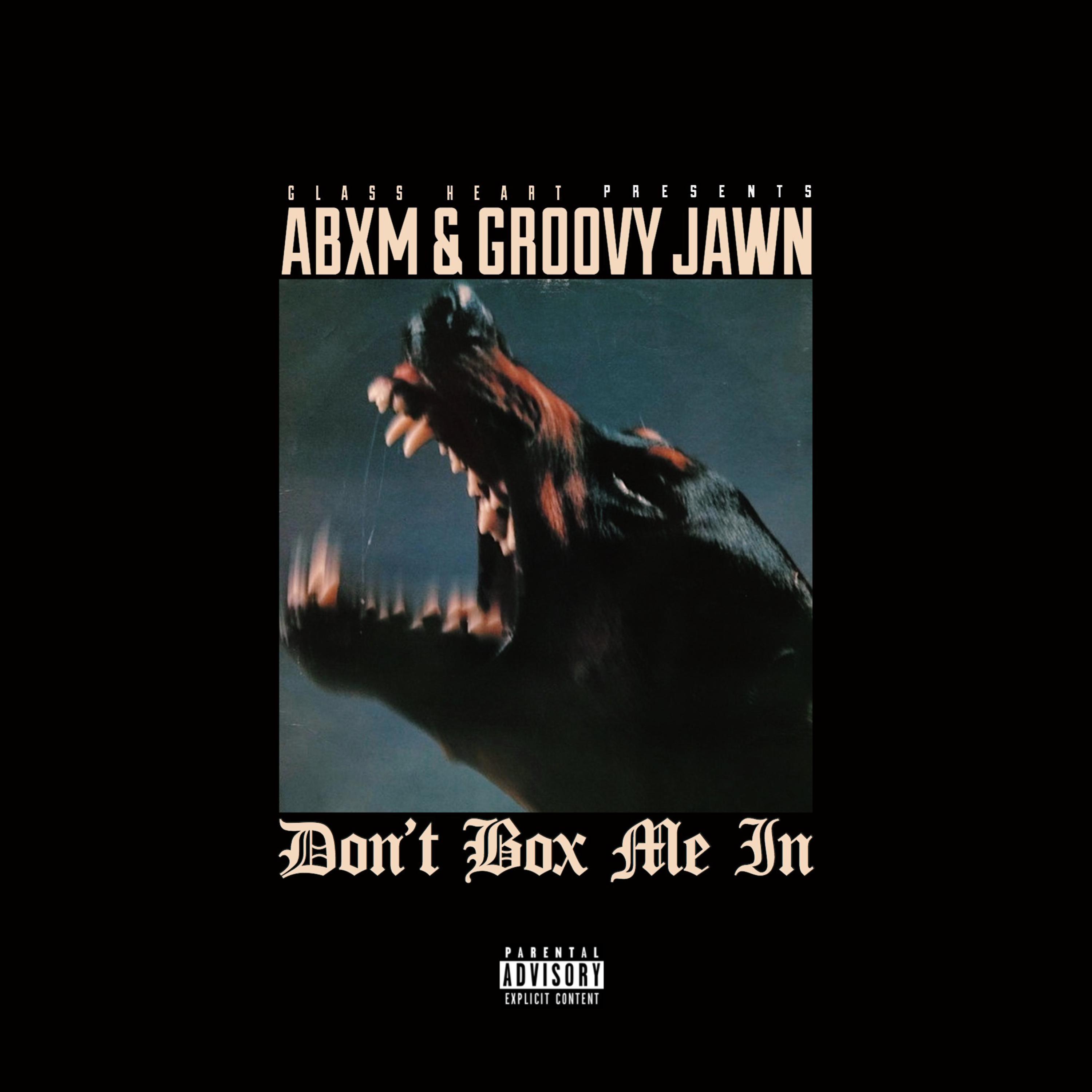 DON'T BOX ME IN artwork