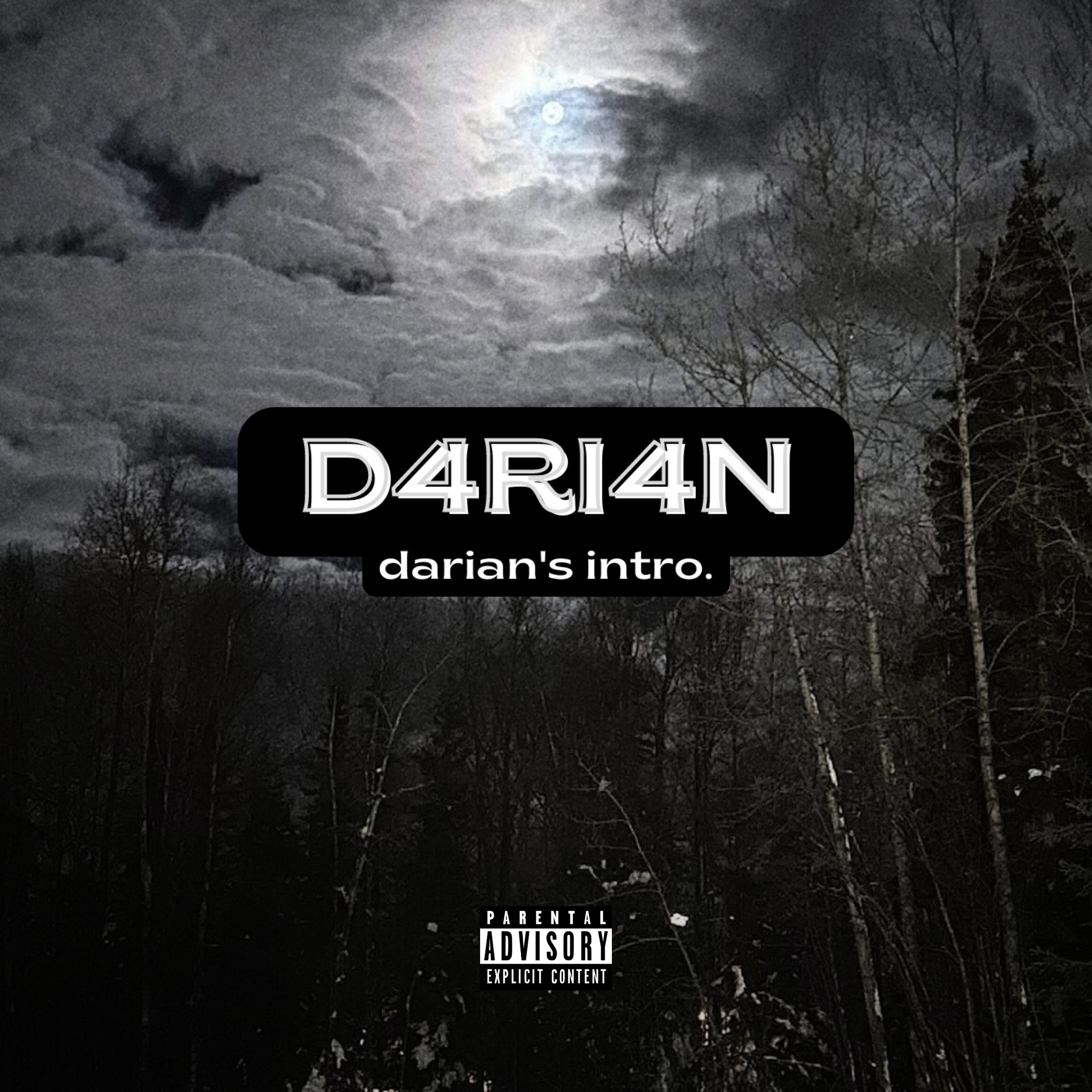darian's intro. artwork