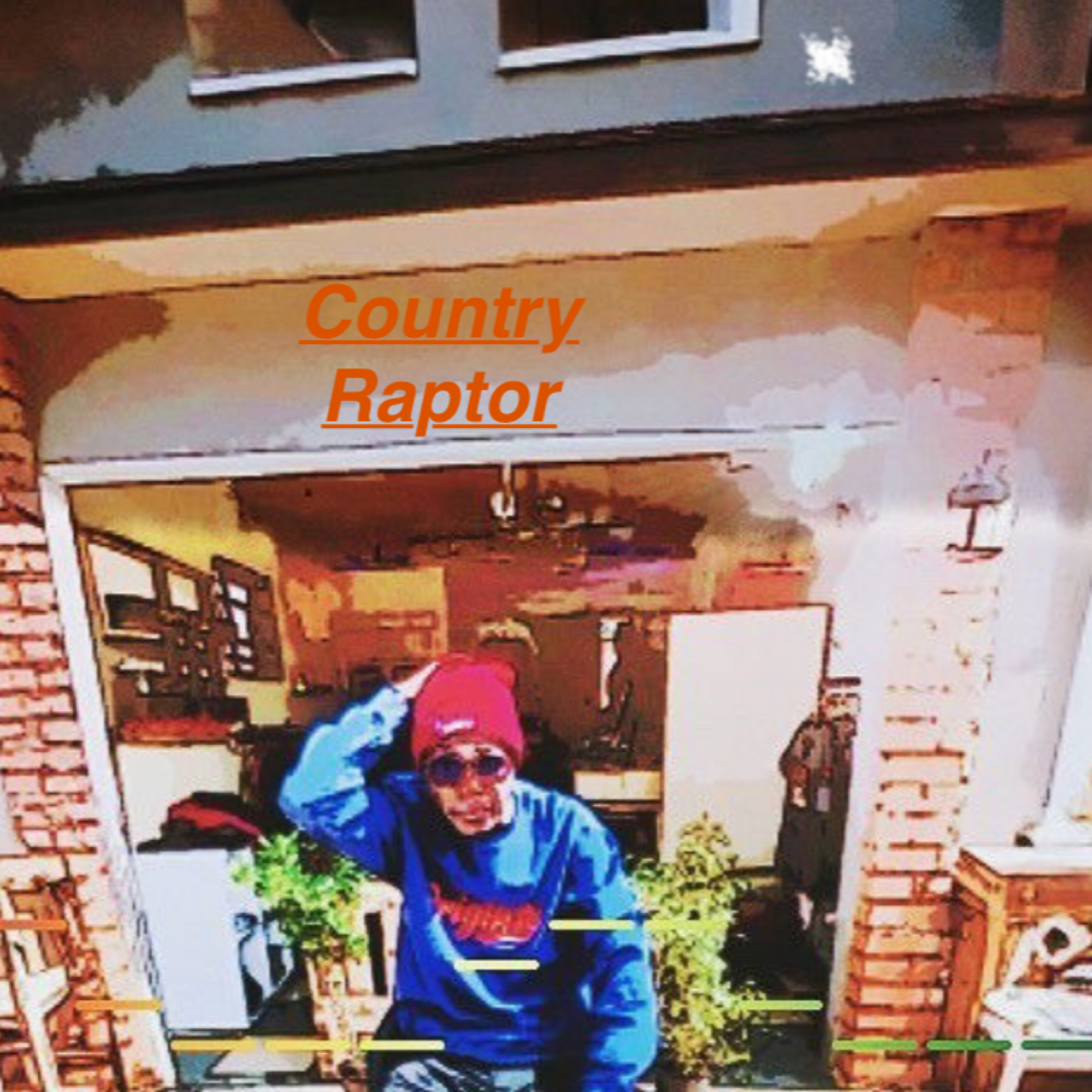 Country  Raptor artwork
