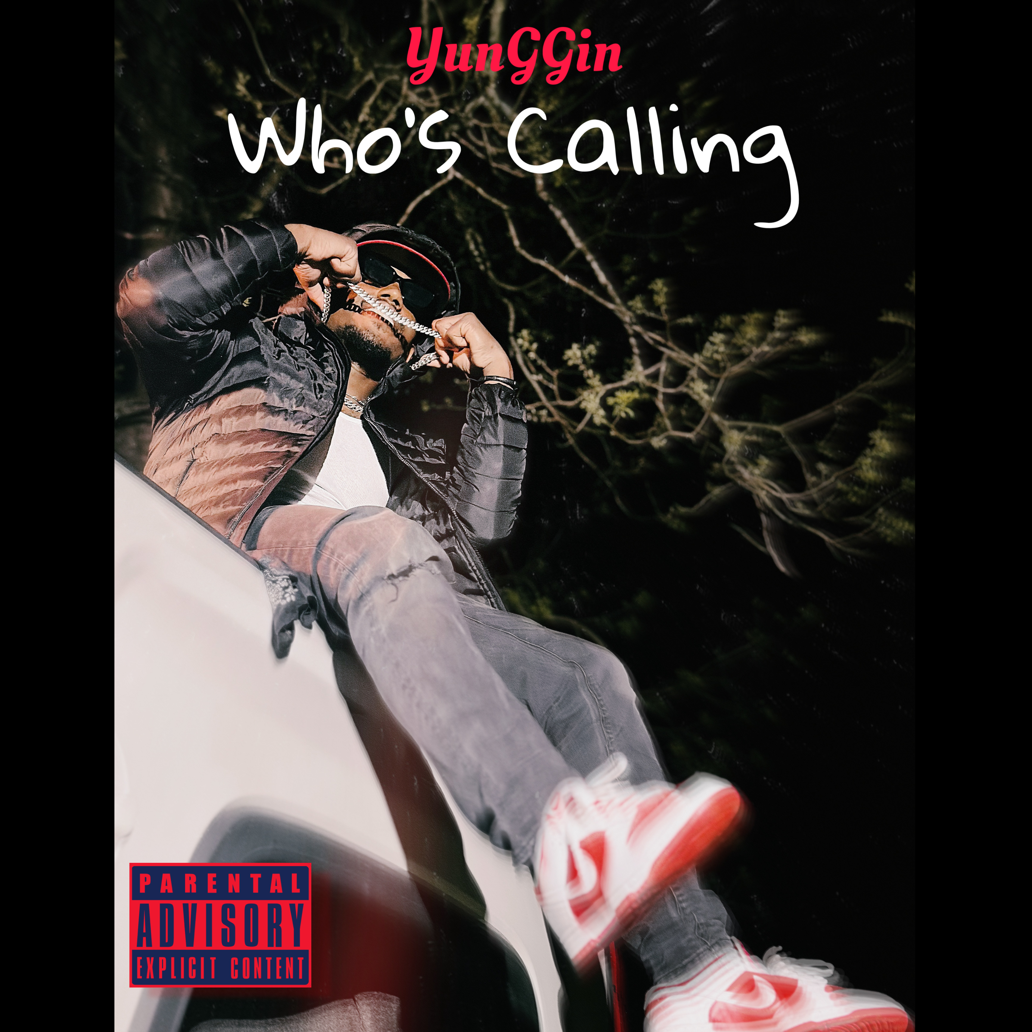 Who’s Calling artwork