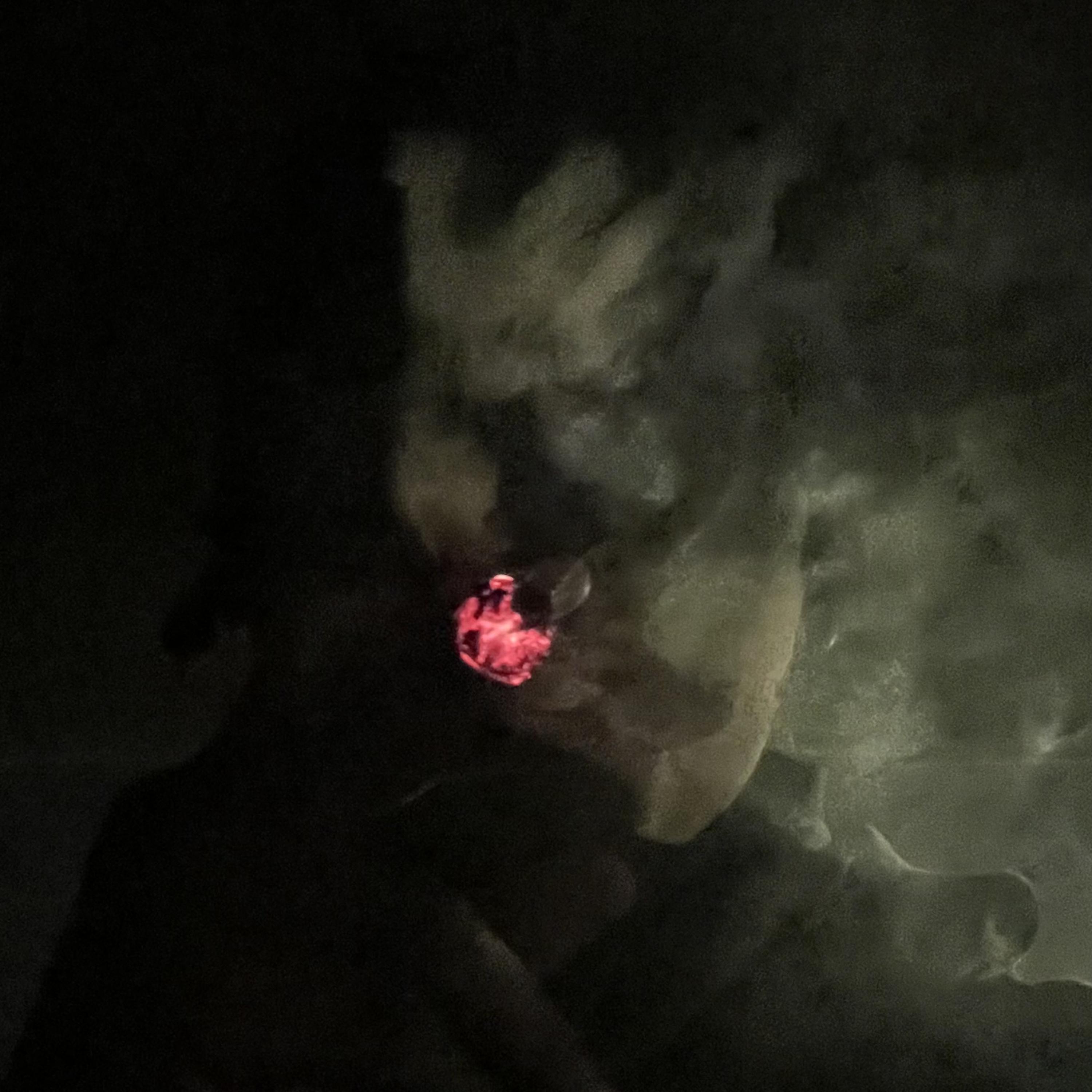 Montana muggin artwork