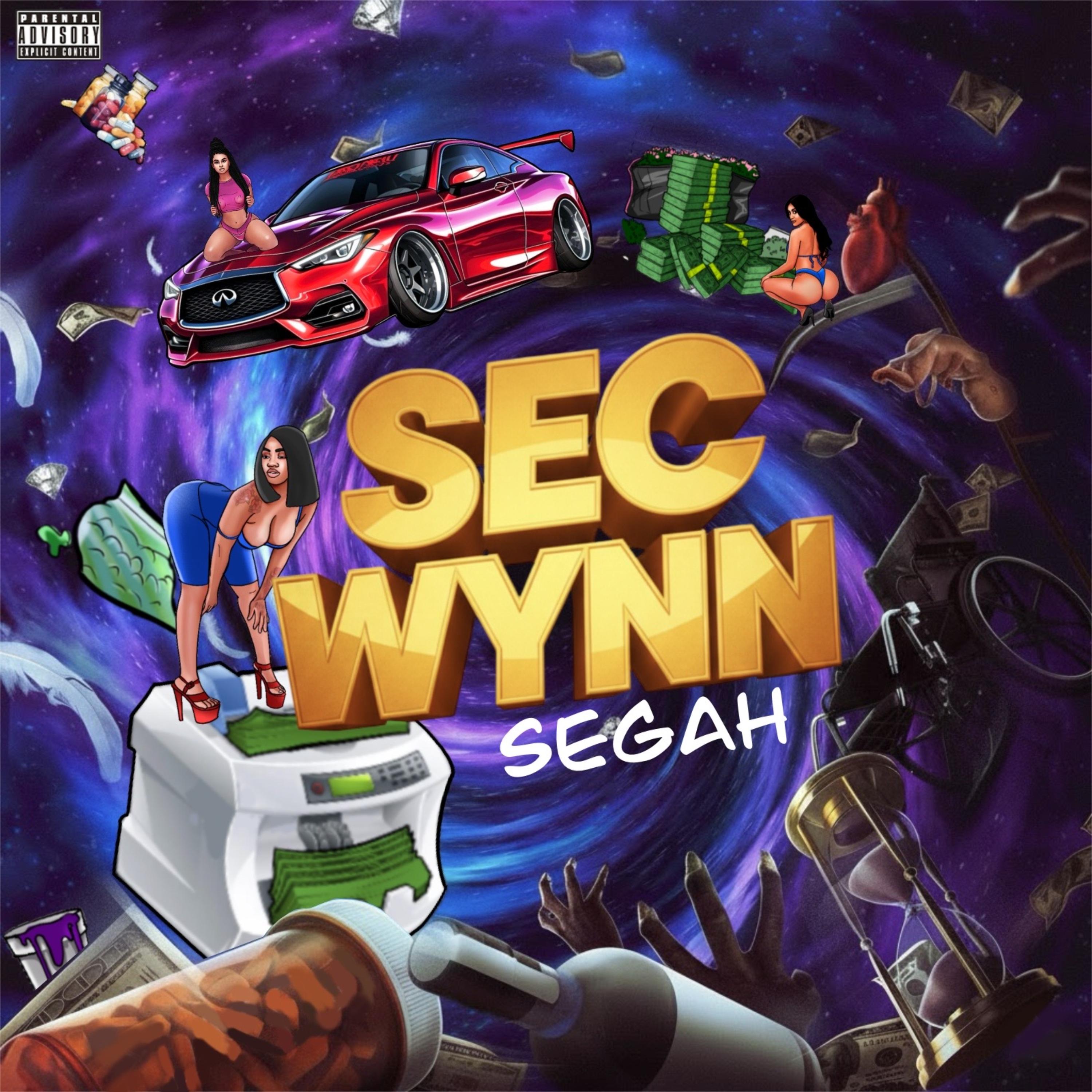 sec wynn artwork