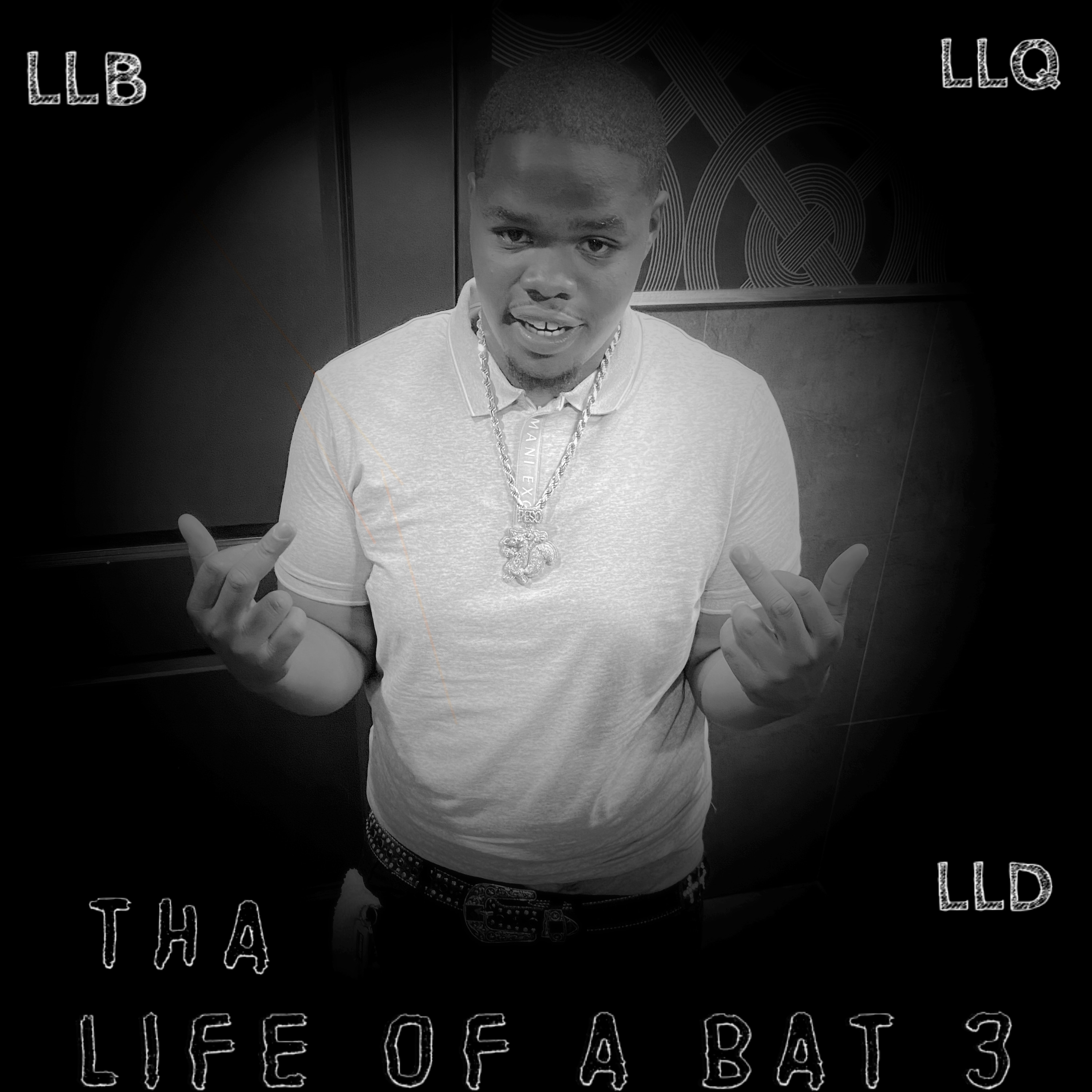 Life Of A Bat 3 artwork