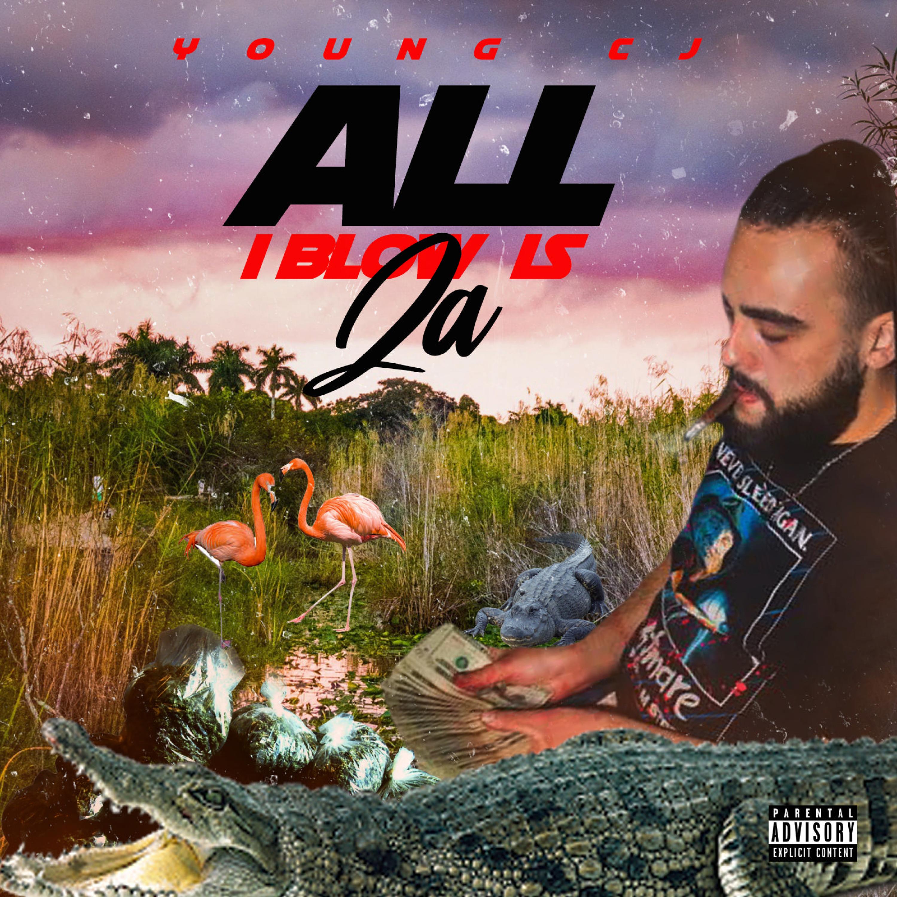 All I Blow Is Za artwork