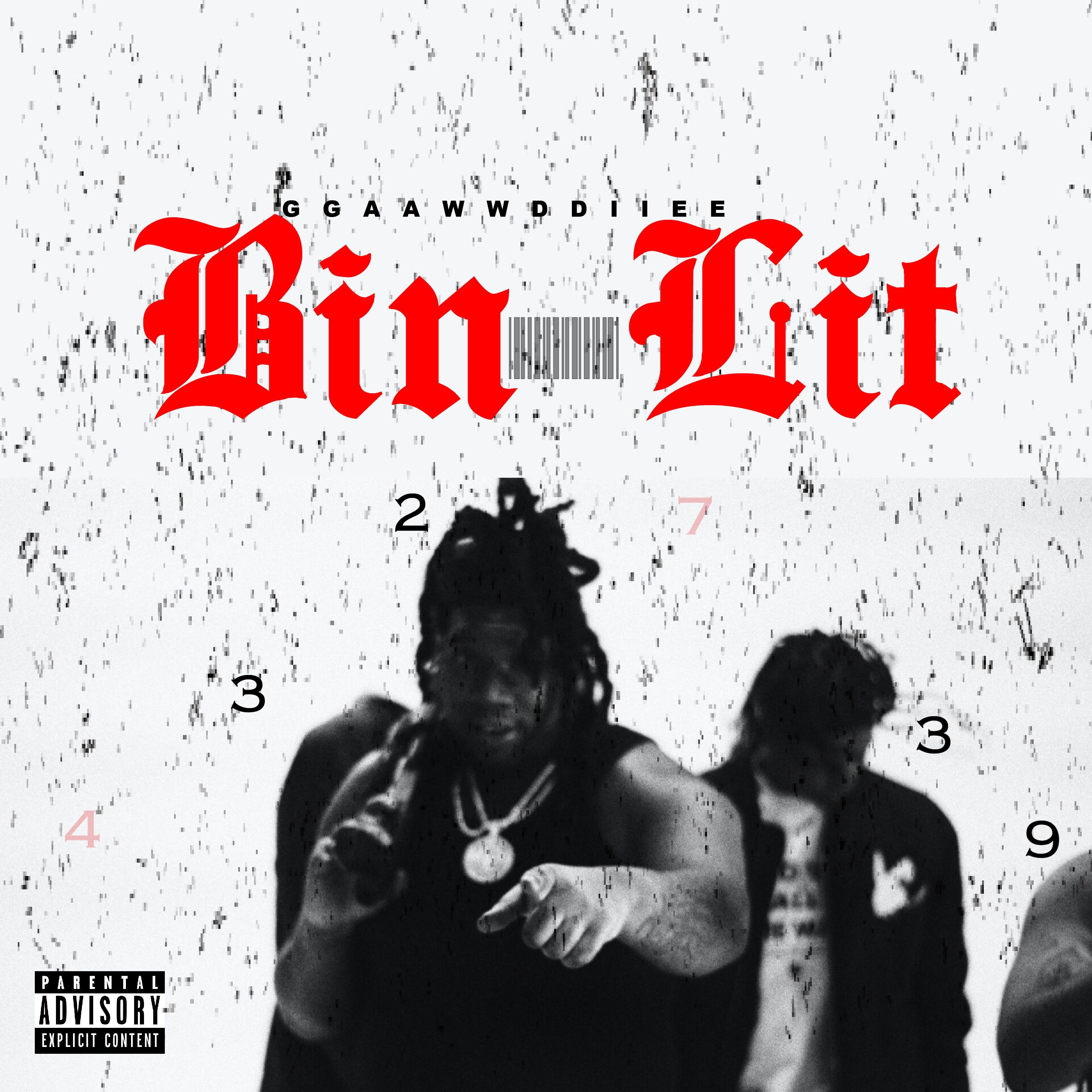 BIN LIT artwork