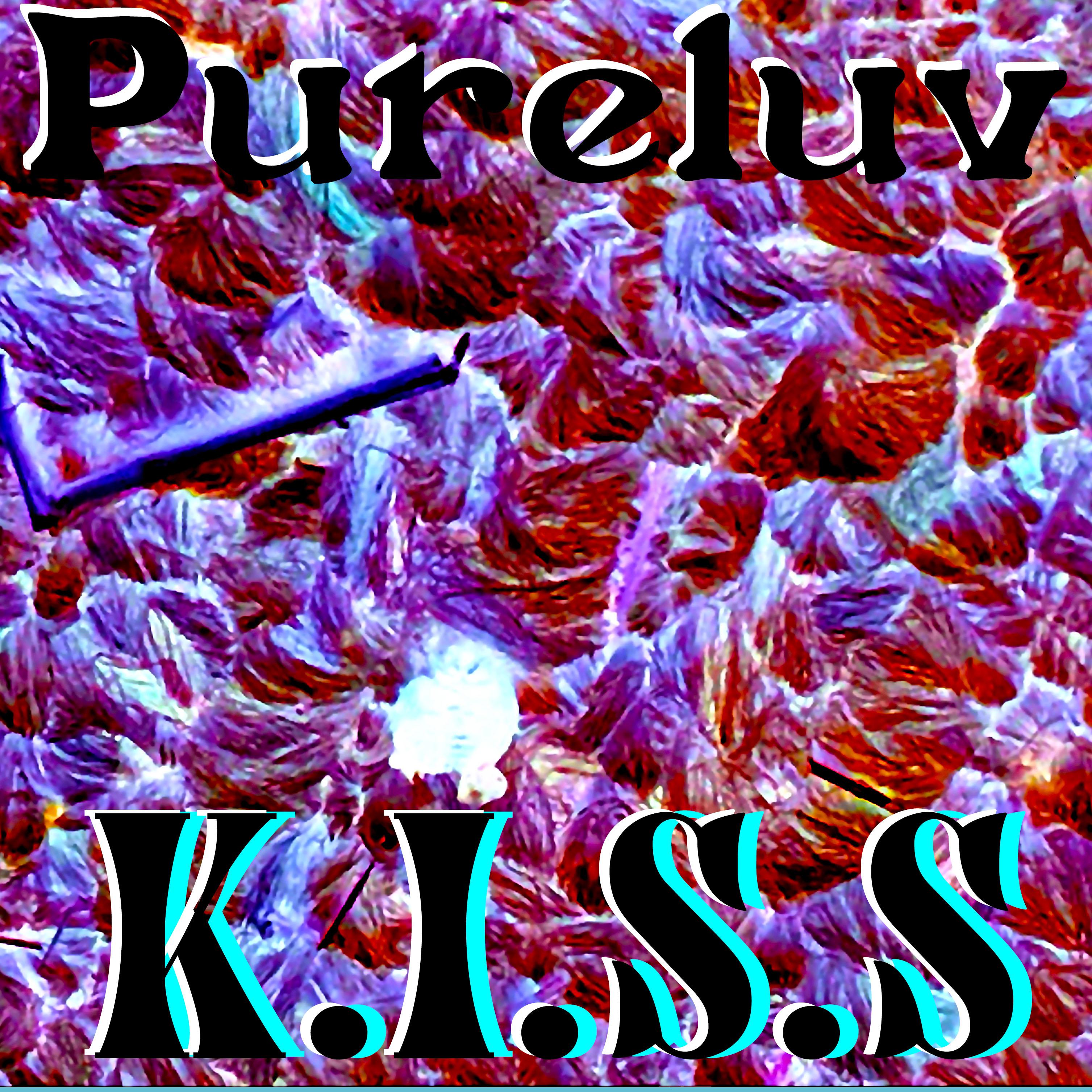 K.I.S.S artwork