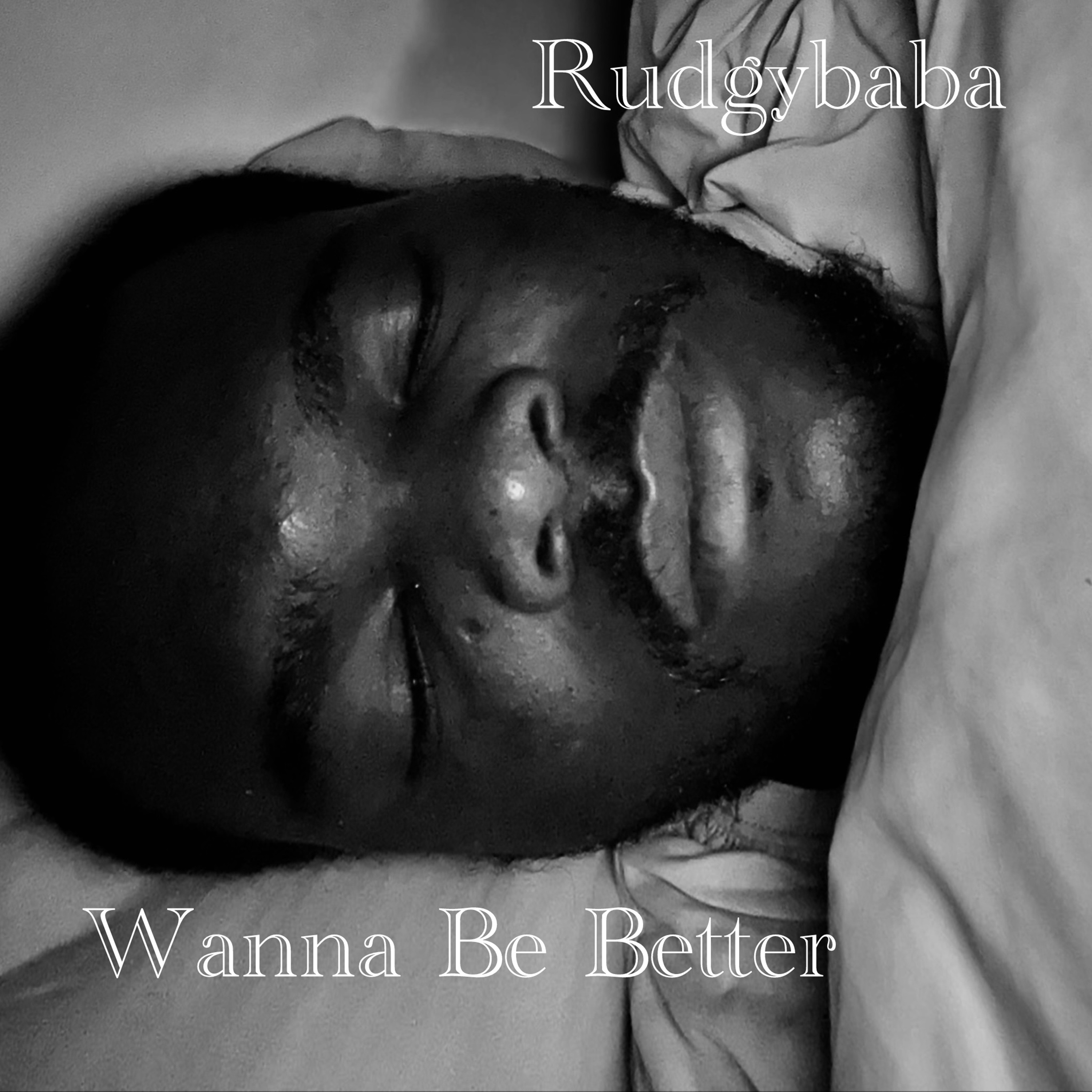 Wanna Be Better by Rudgybaba cover art