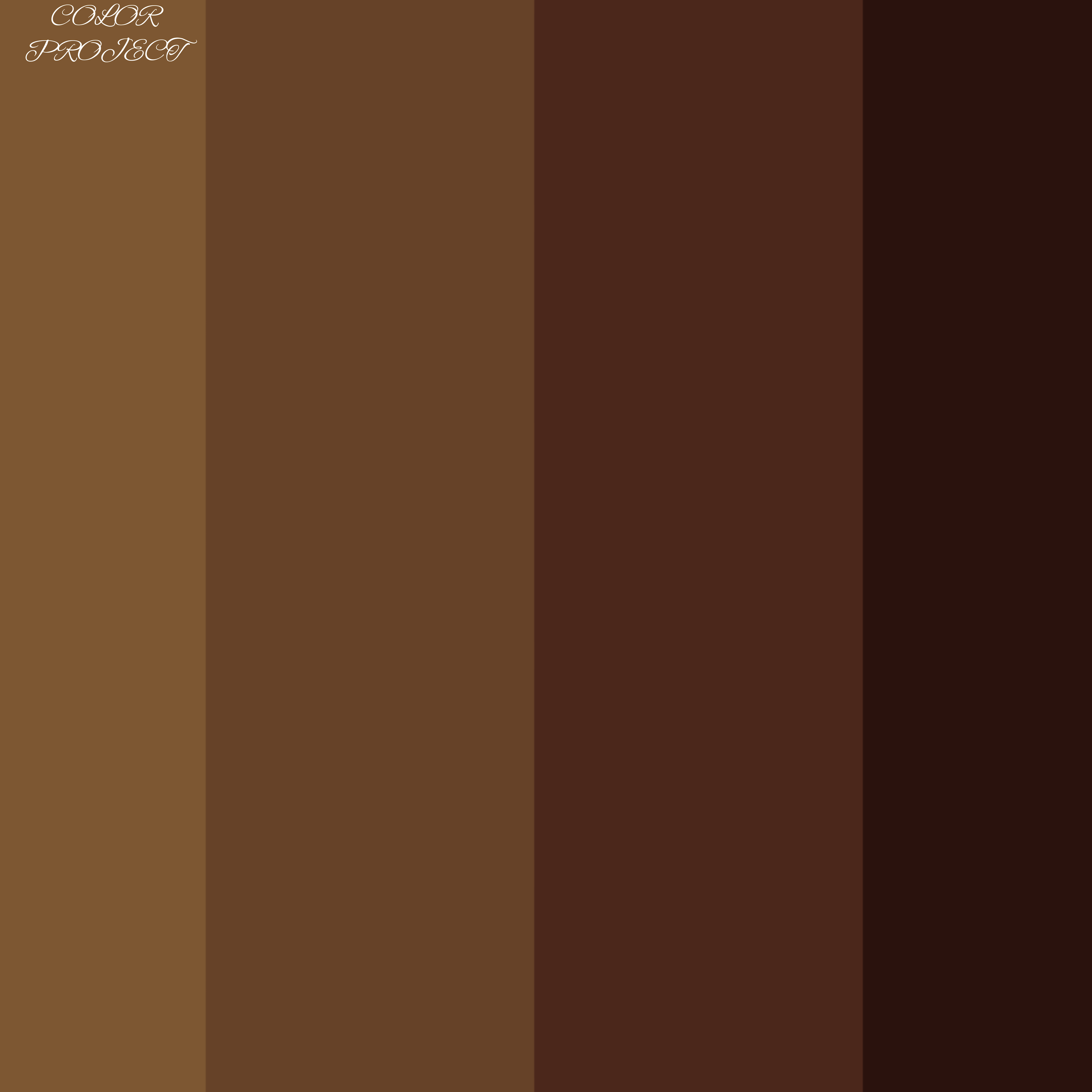 COLOR PROJECT: BROWN artwork