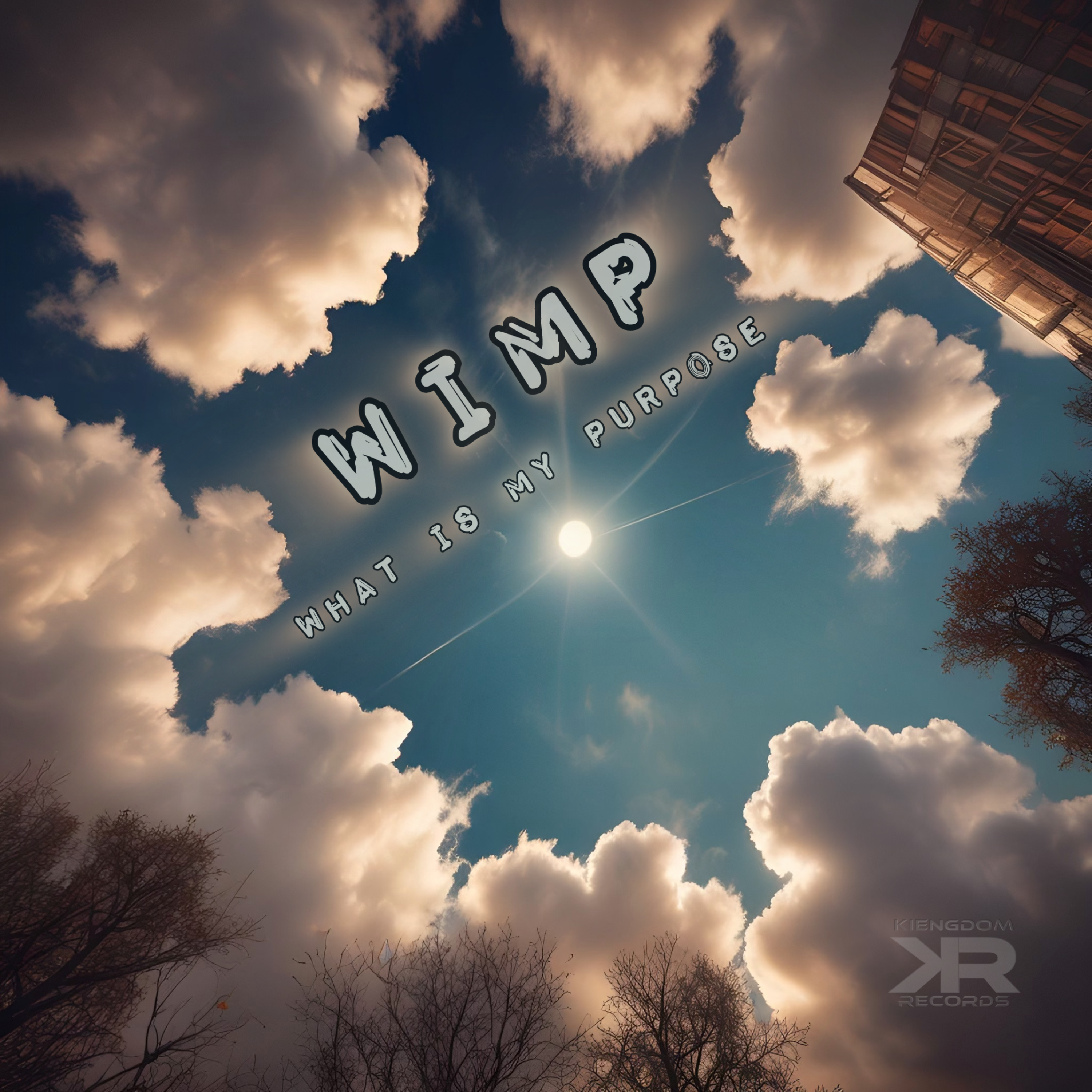 What is my purpose artwork