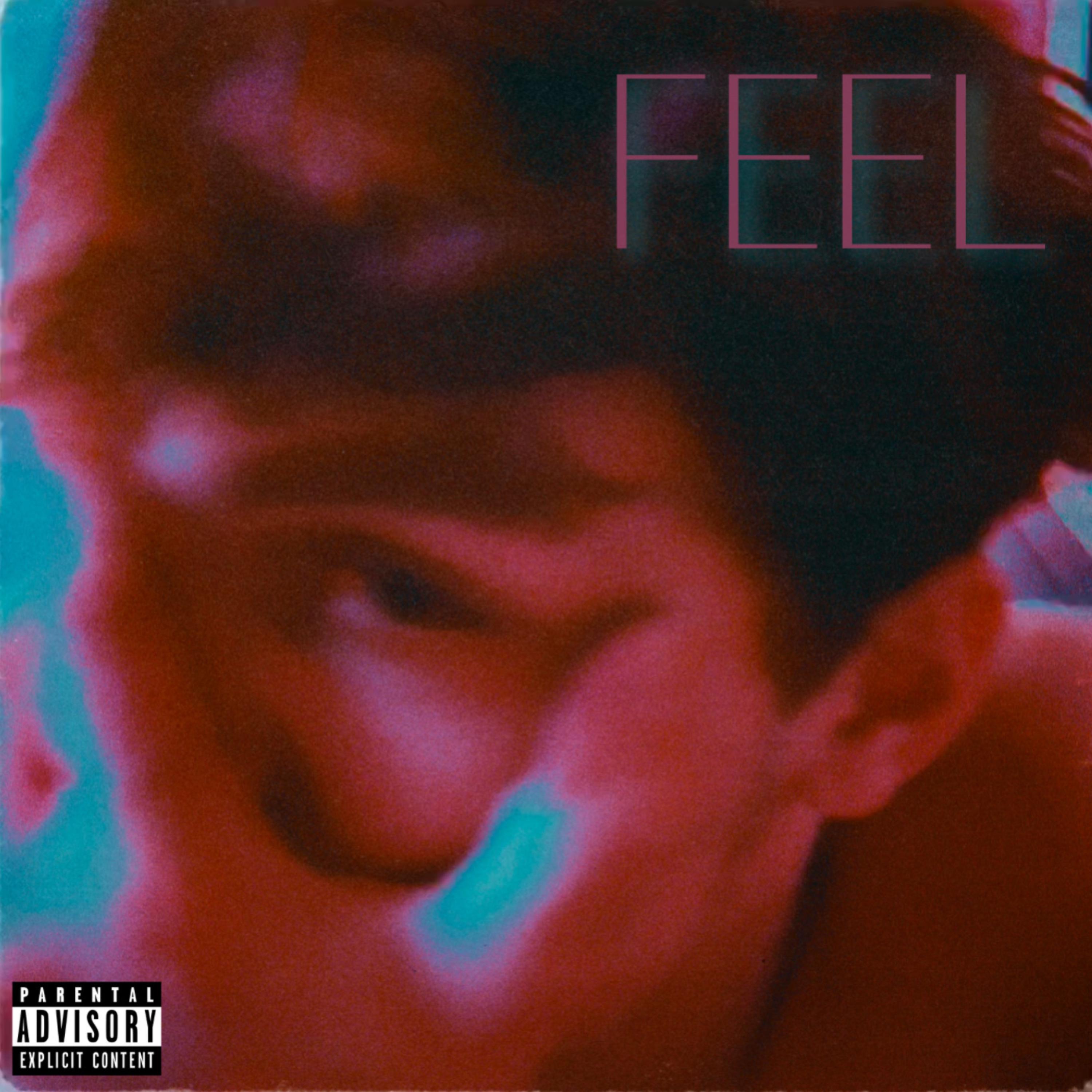 FEEL artwork