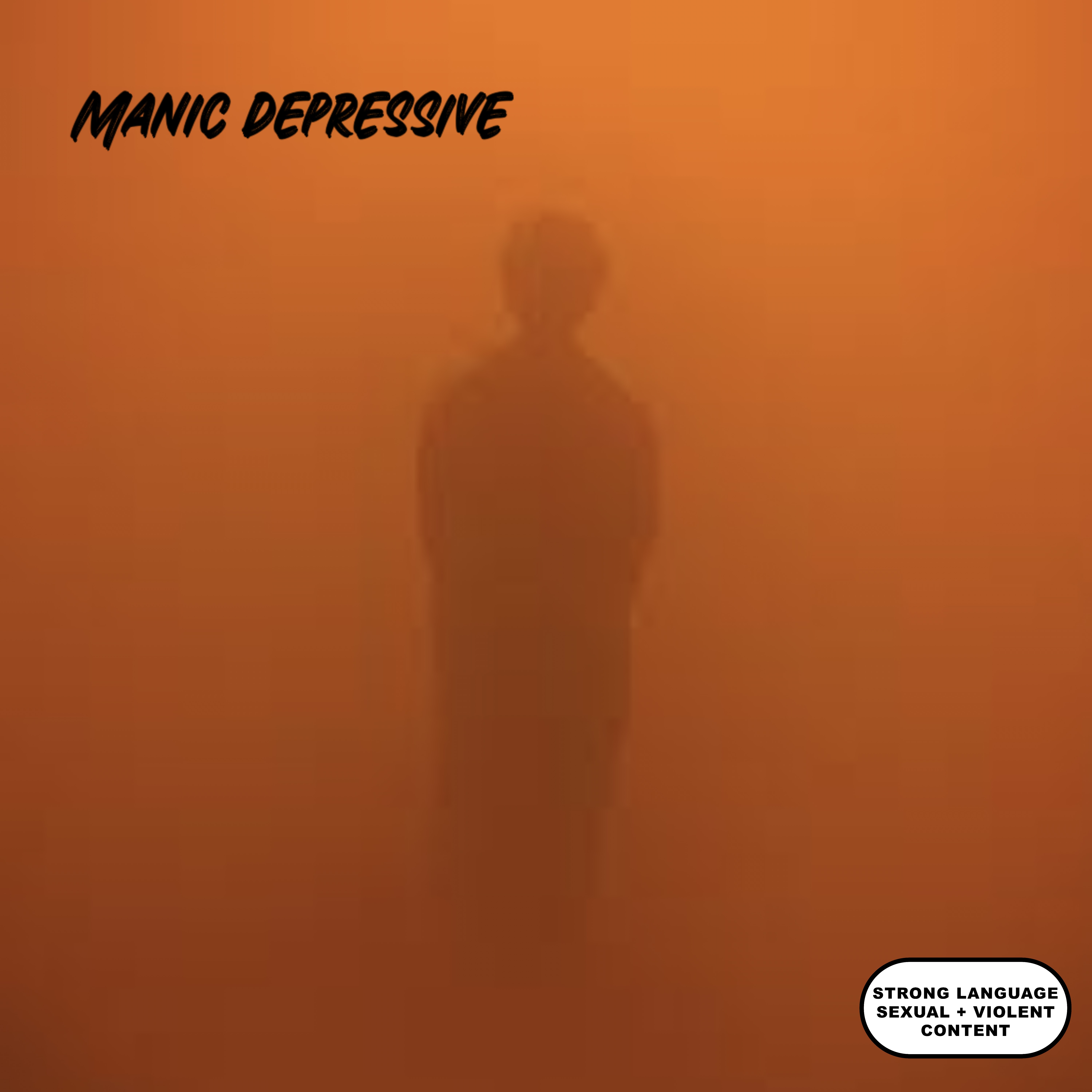 Manic Depressive artwork