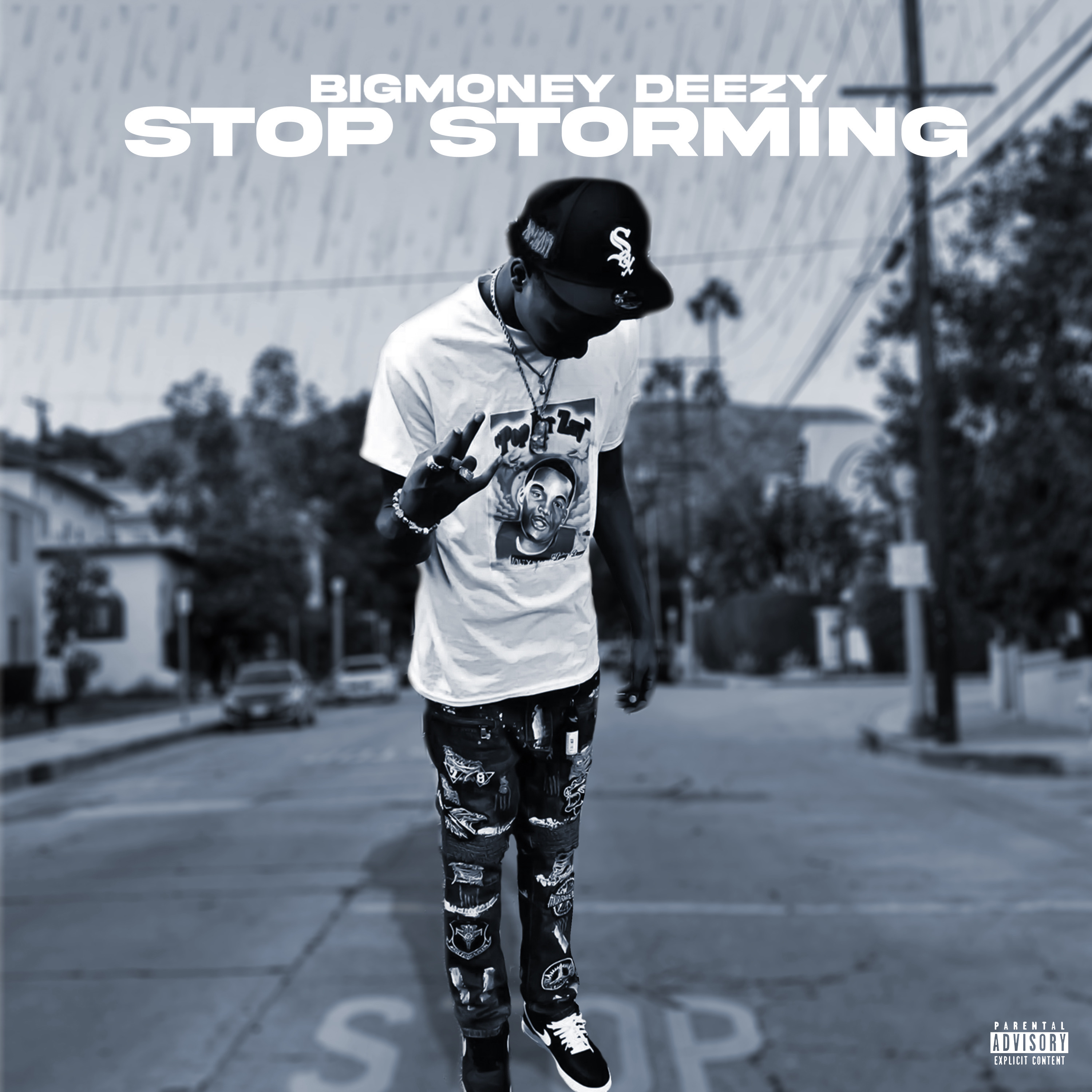 Stop Storming artwork