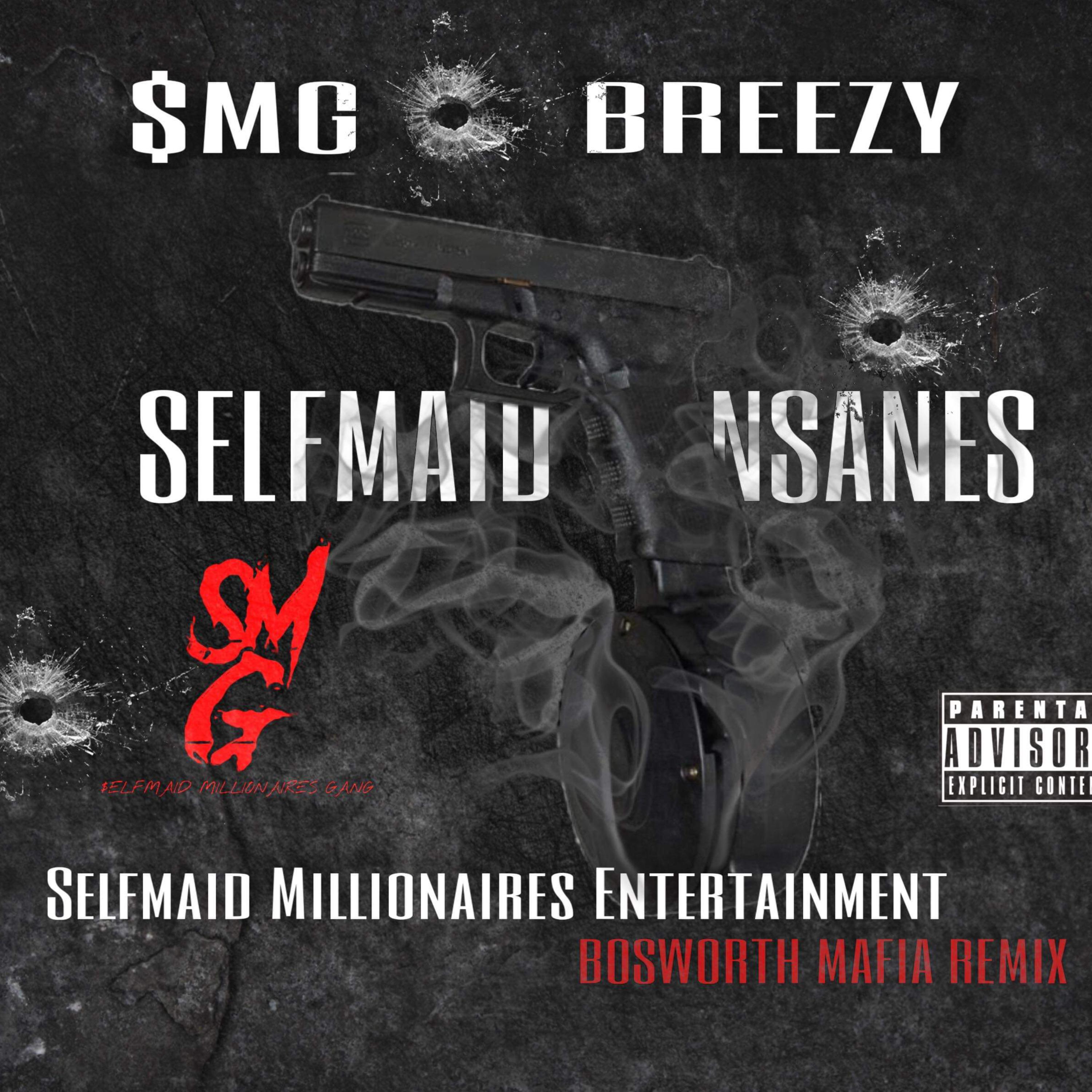Selfmaid insanes artwork
