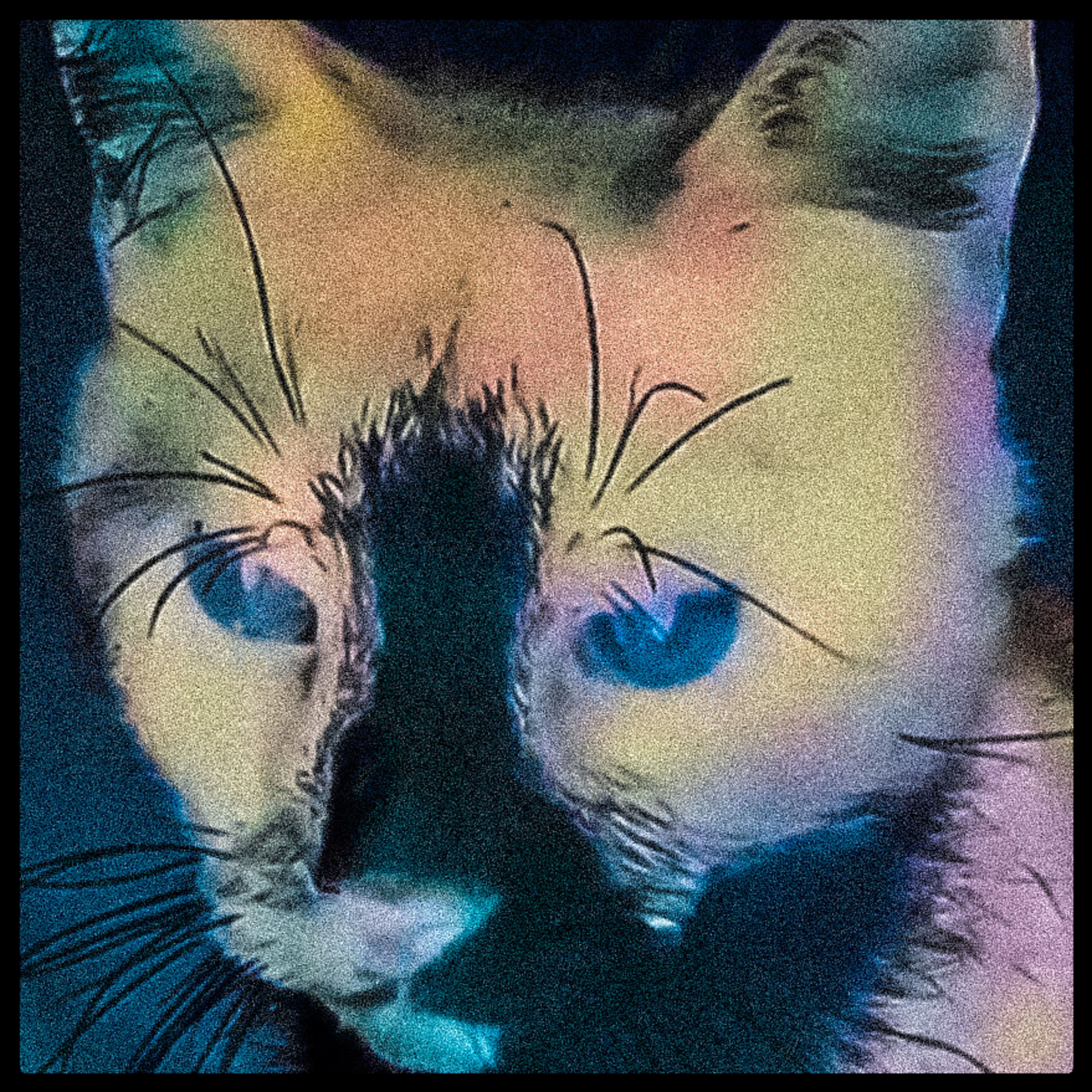 External Stimuli artwork