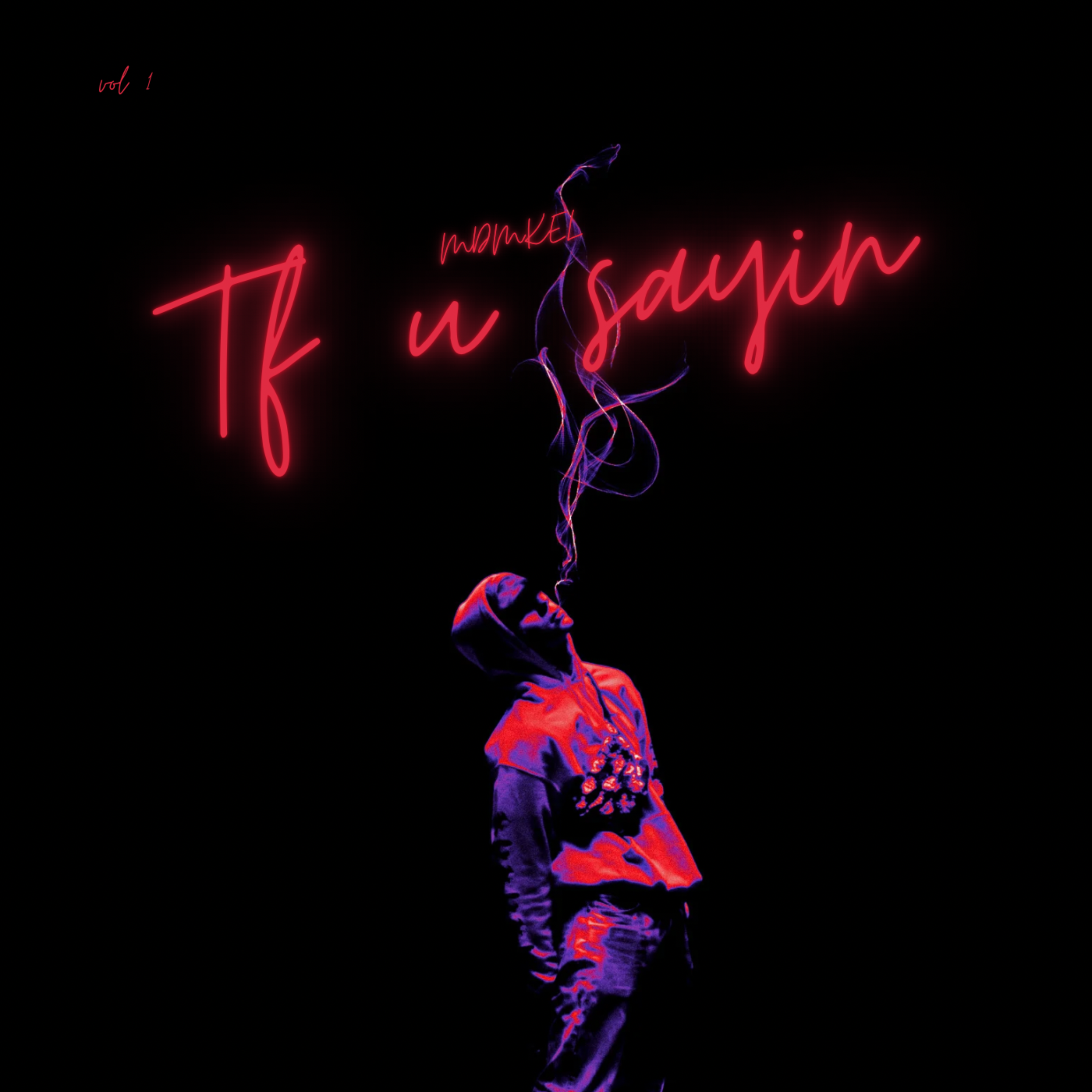 Tf U Sayin artwork