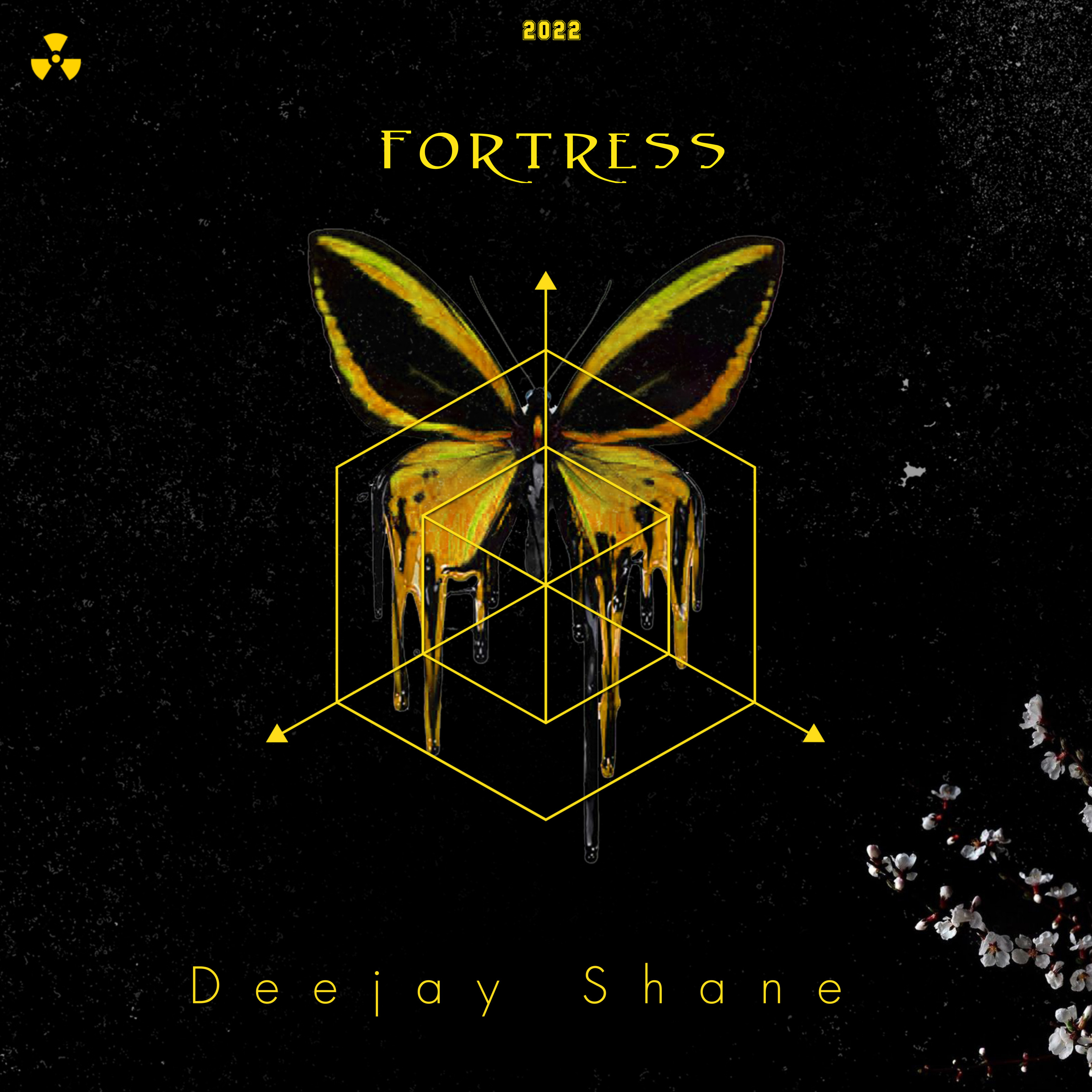 Fortress artwork