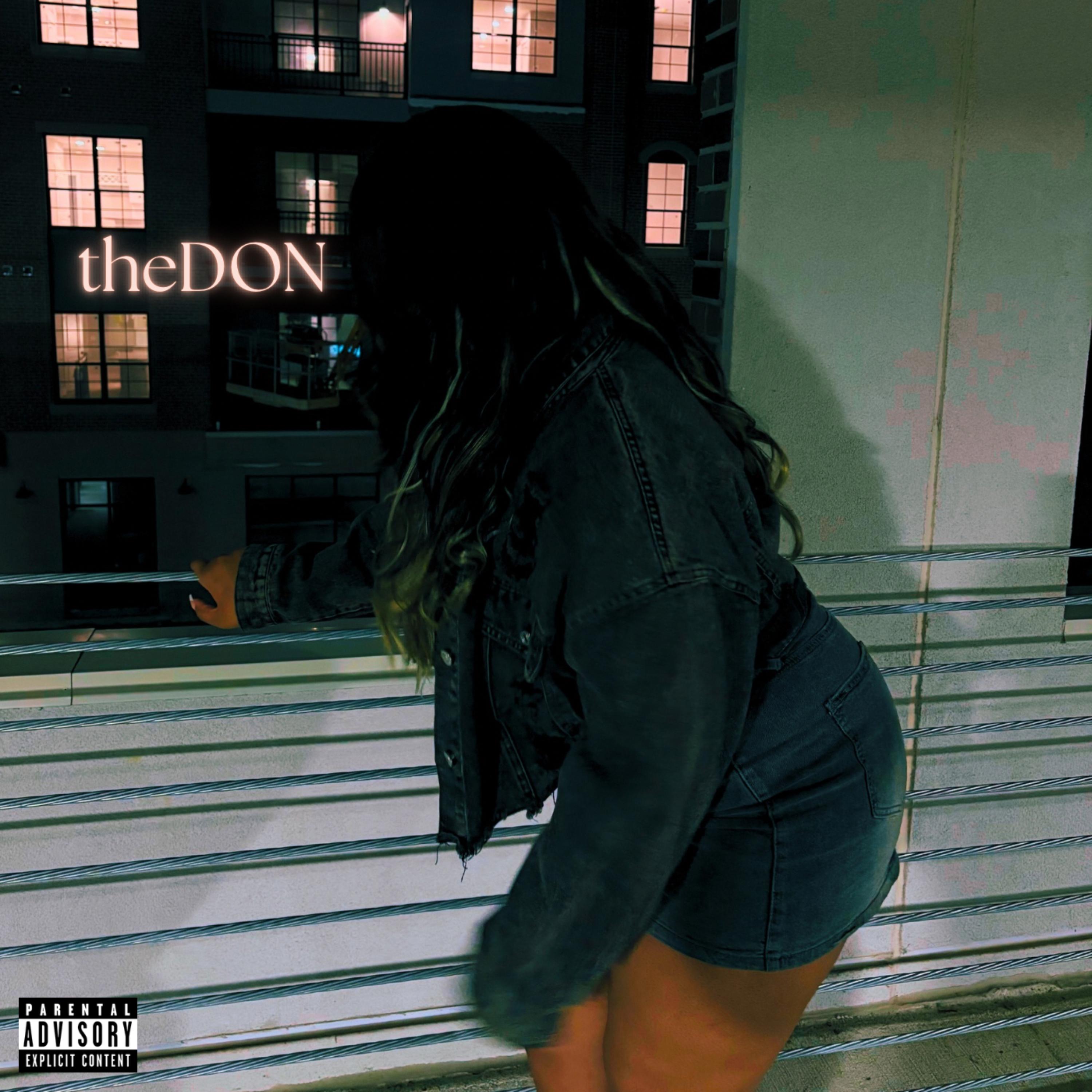 theDON by Casualty! cover art