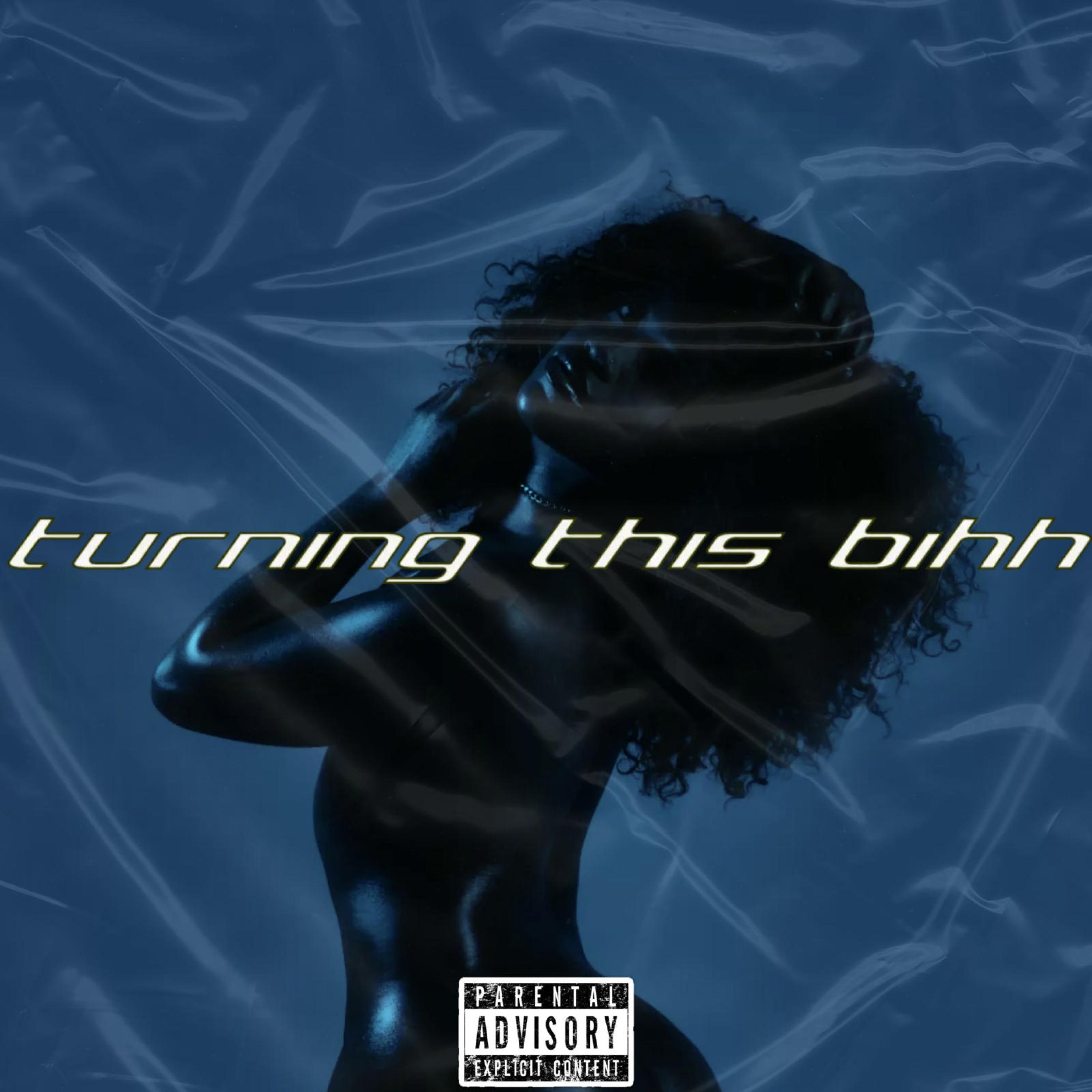 Turning This Bihh by Anweezy cover art