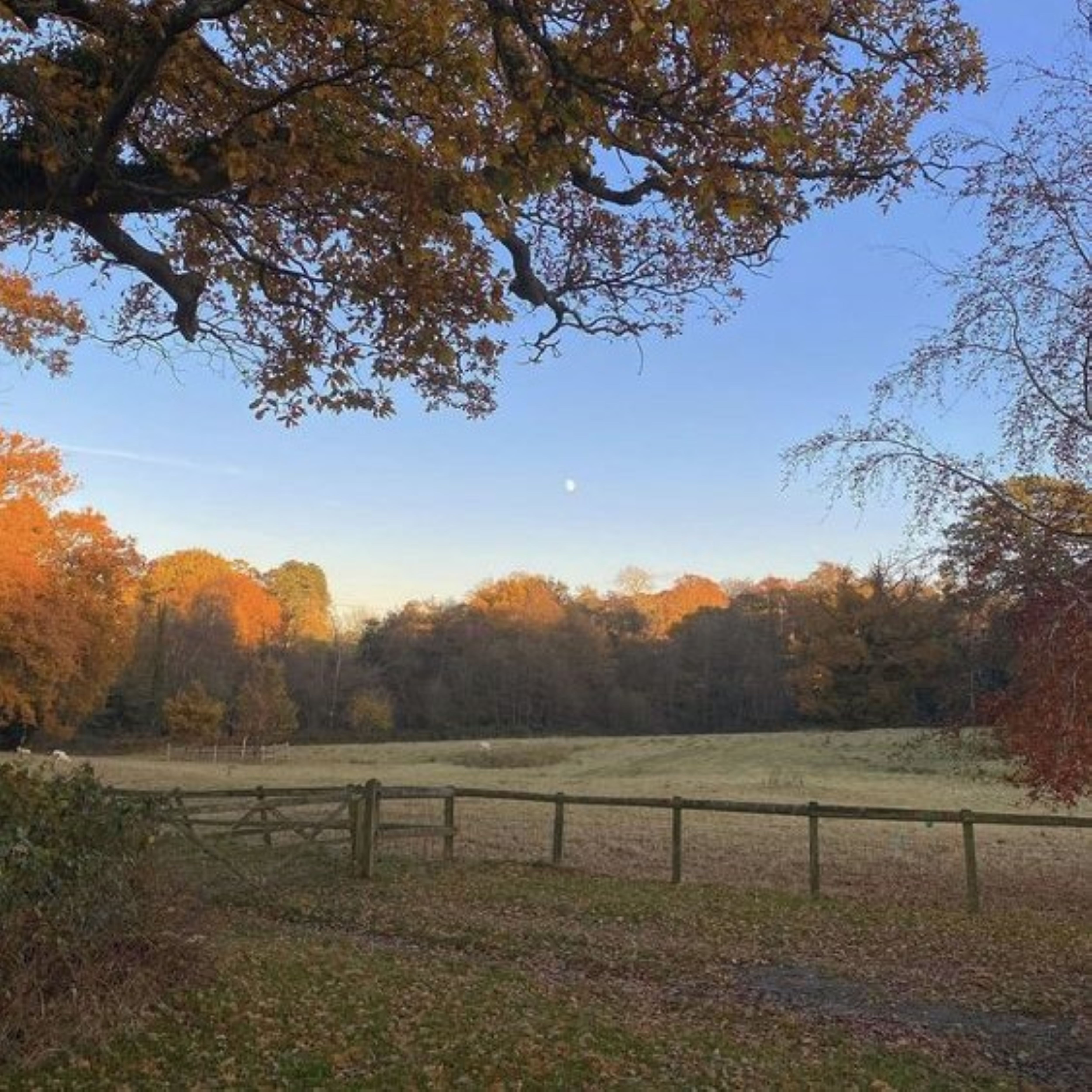 forever and a day artwork