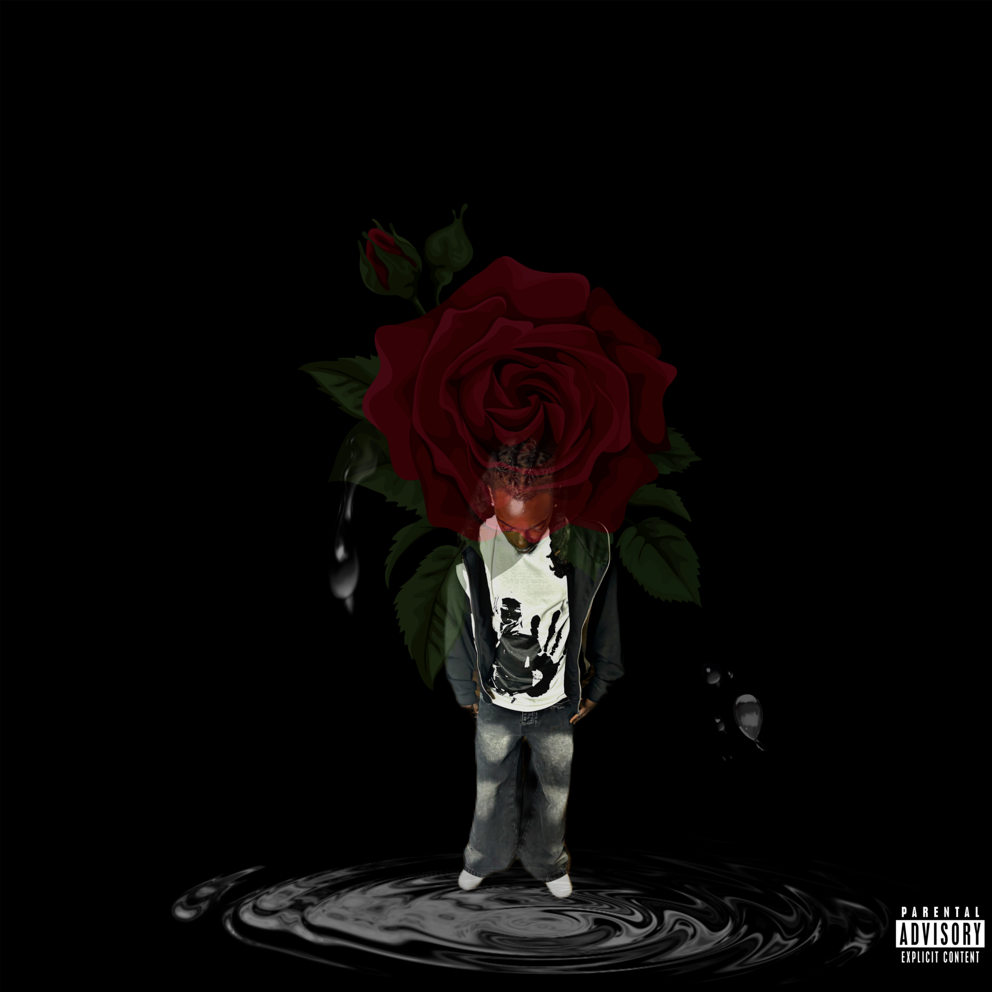 Arose artwork