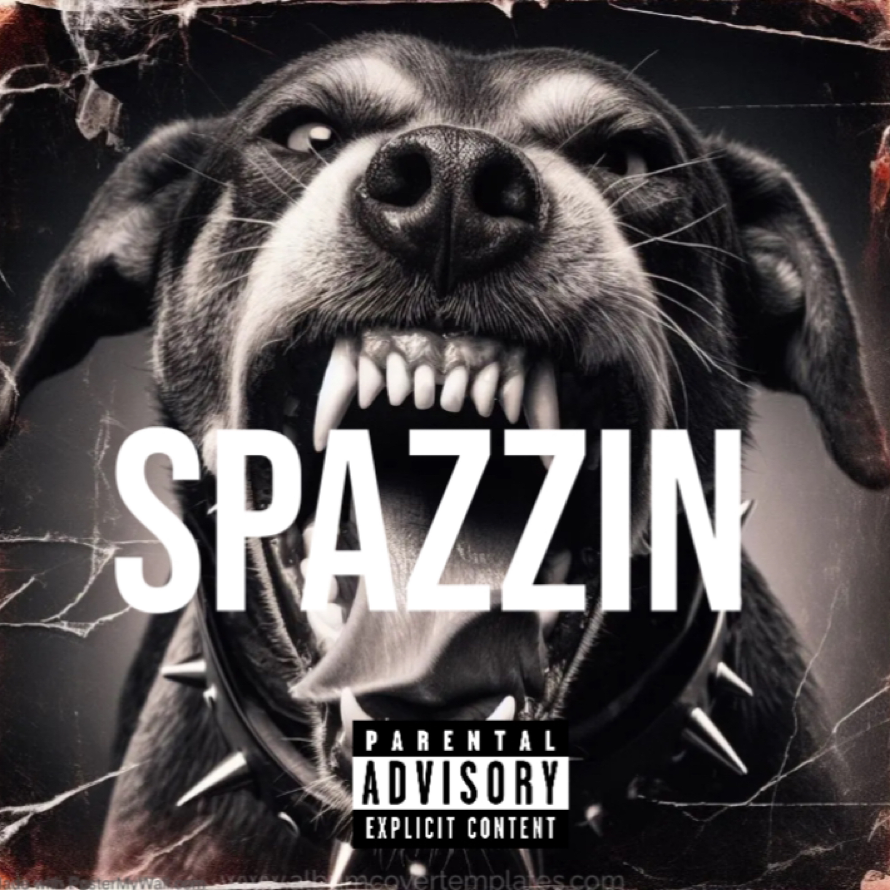 Spazzin artwork