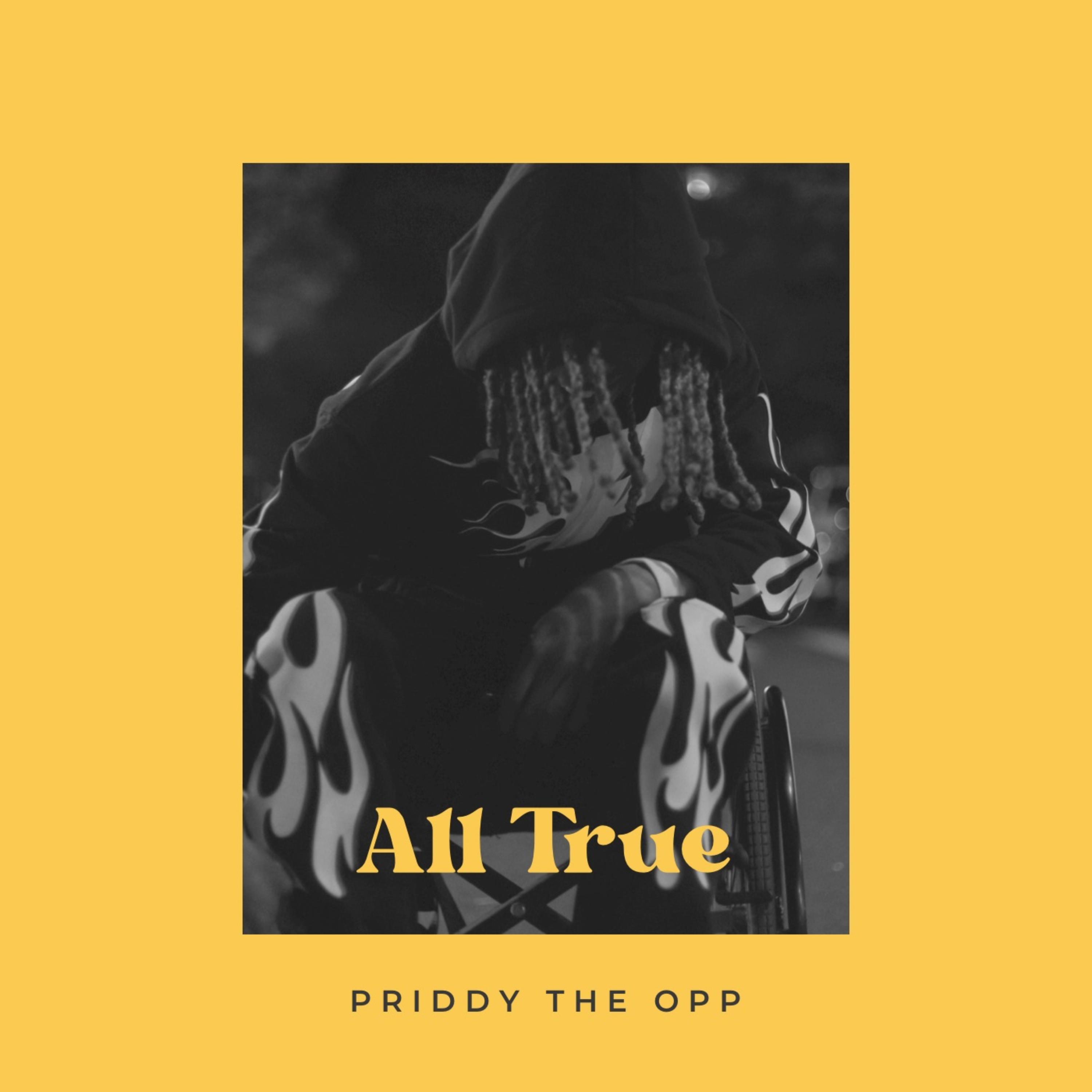 All True by Priddy the Opp cover art