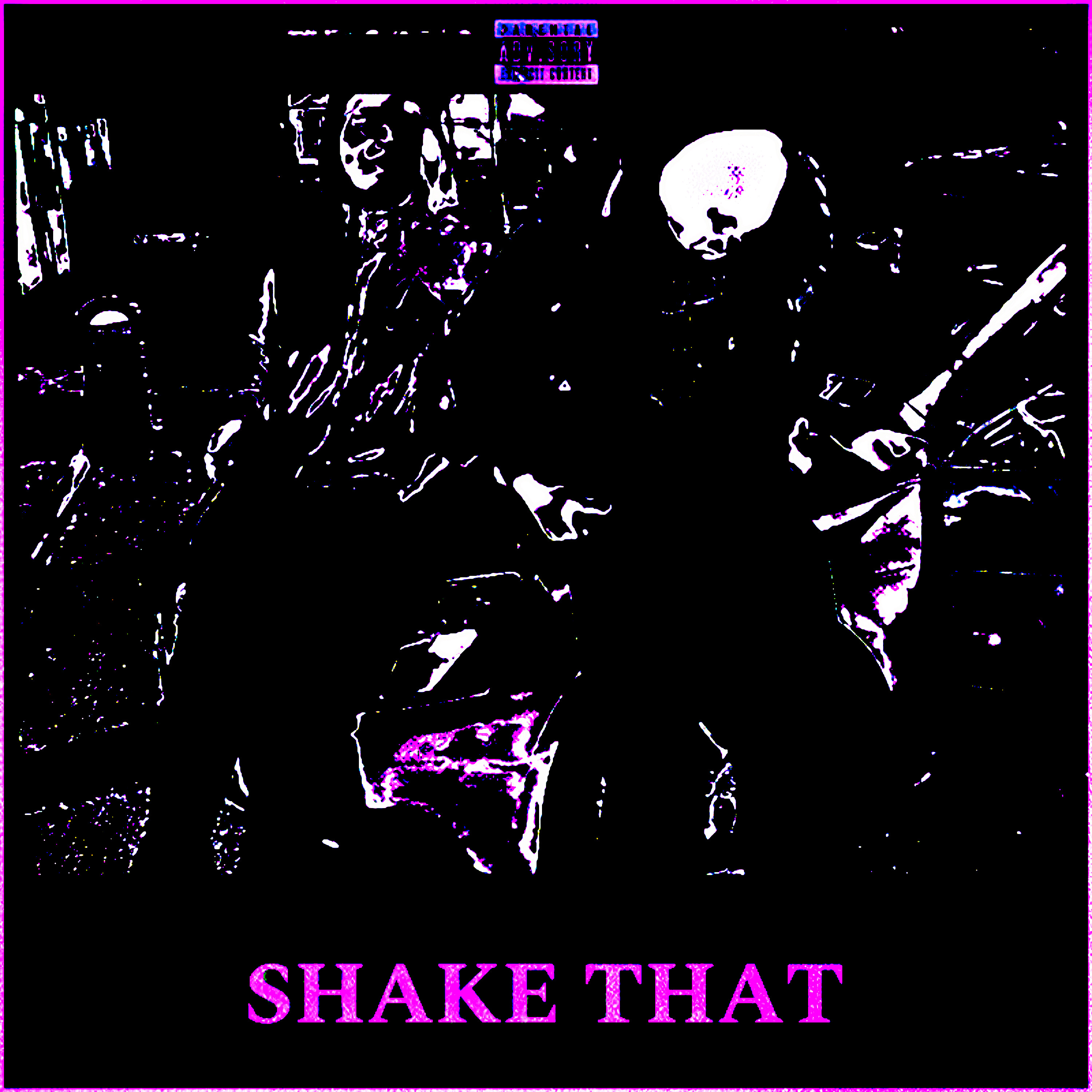 Shake That artwork