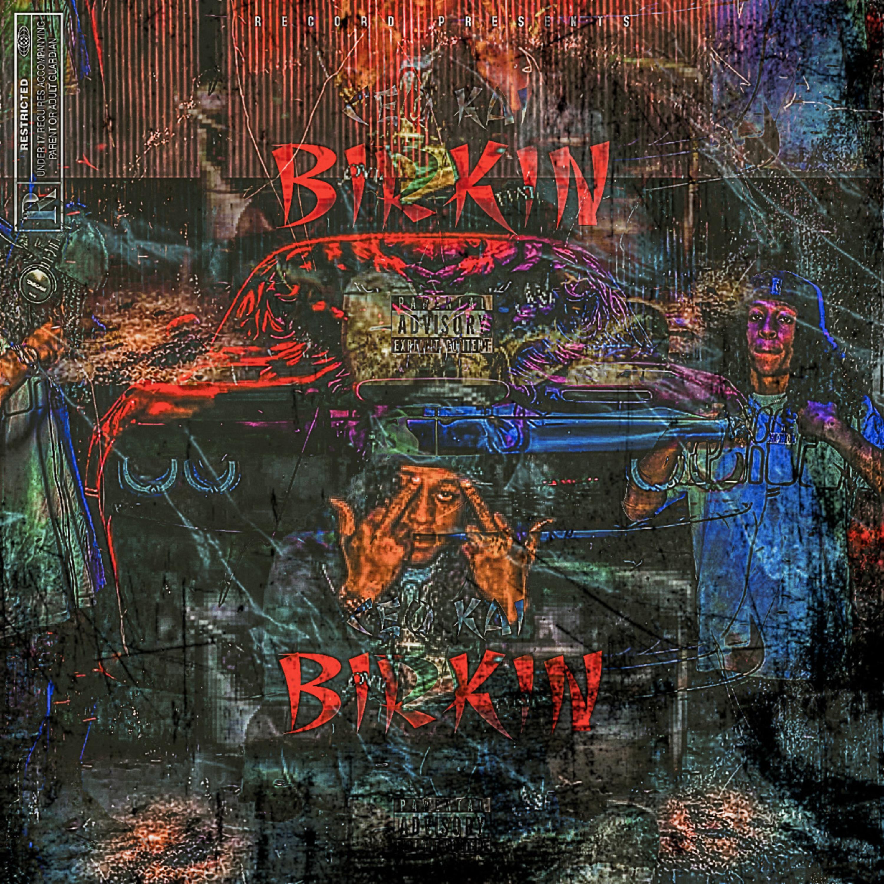 BIRKIN artwork