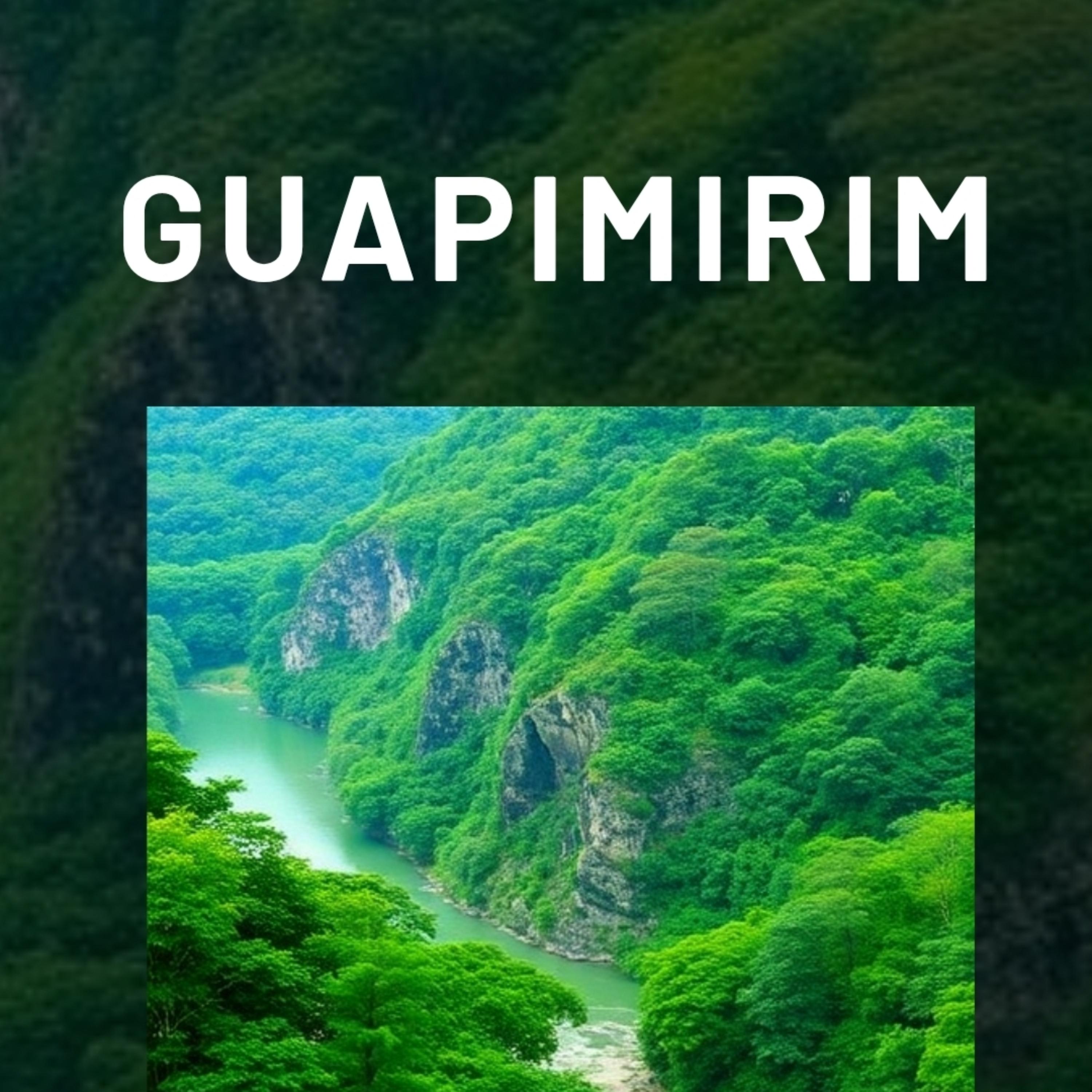 Guapimirim artwork