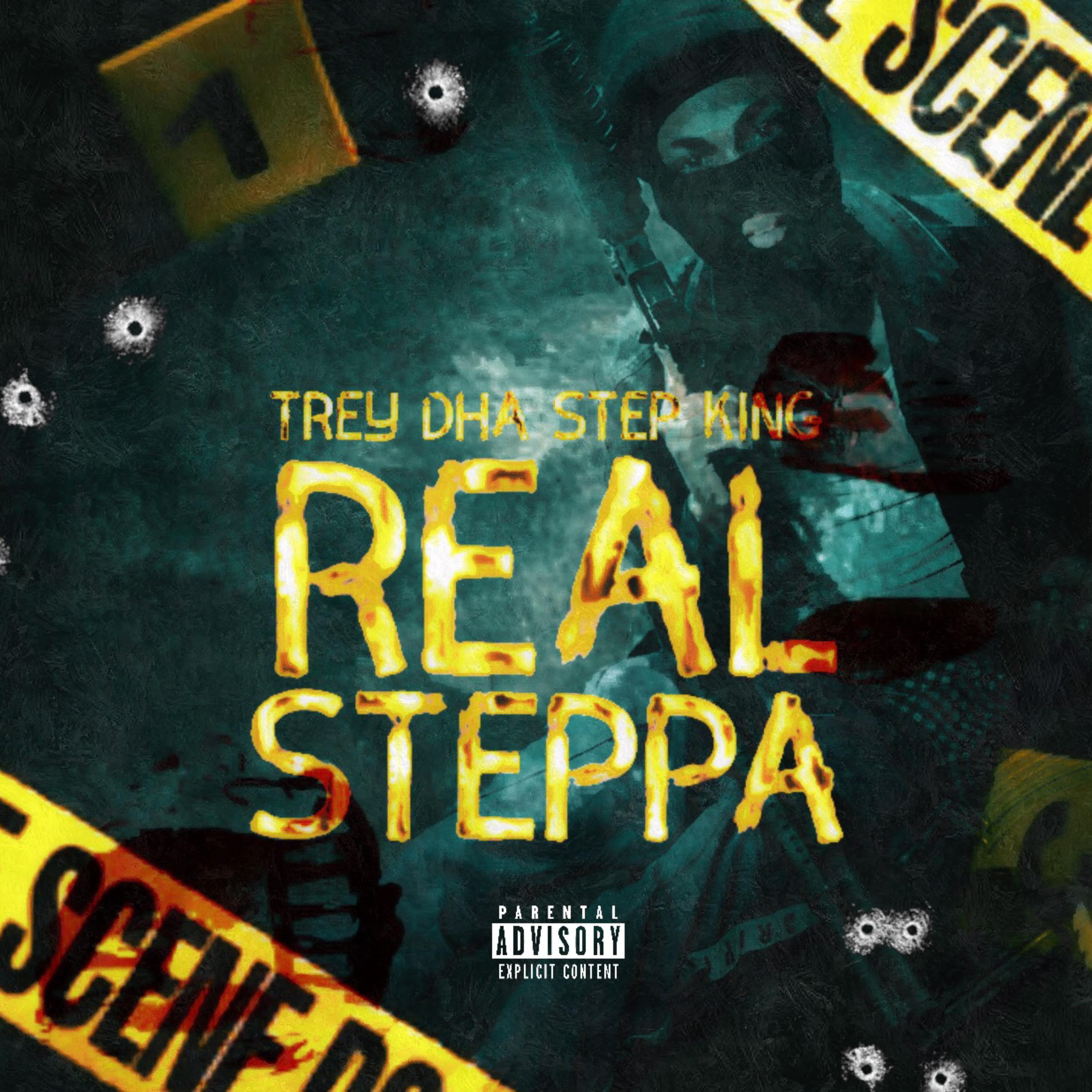 Real Steppa artwork