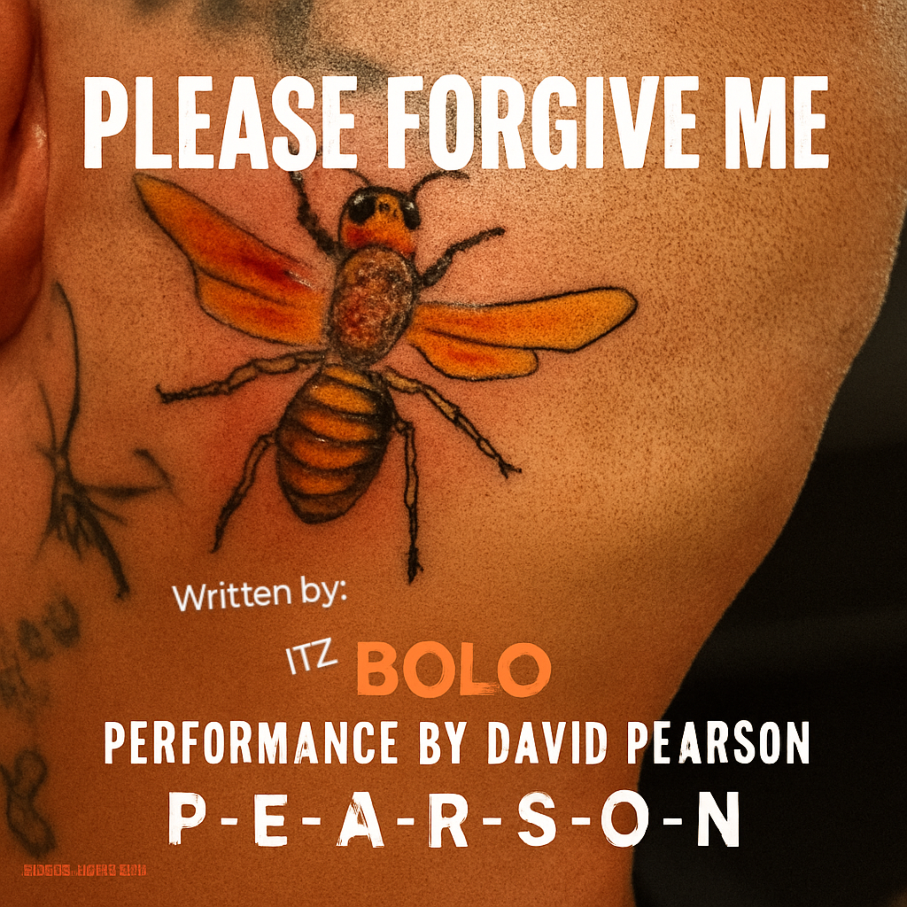 Please forgive me artwork