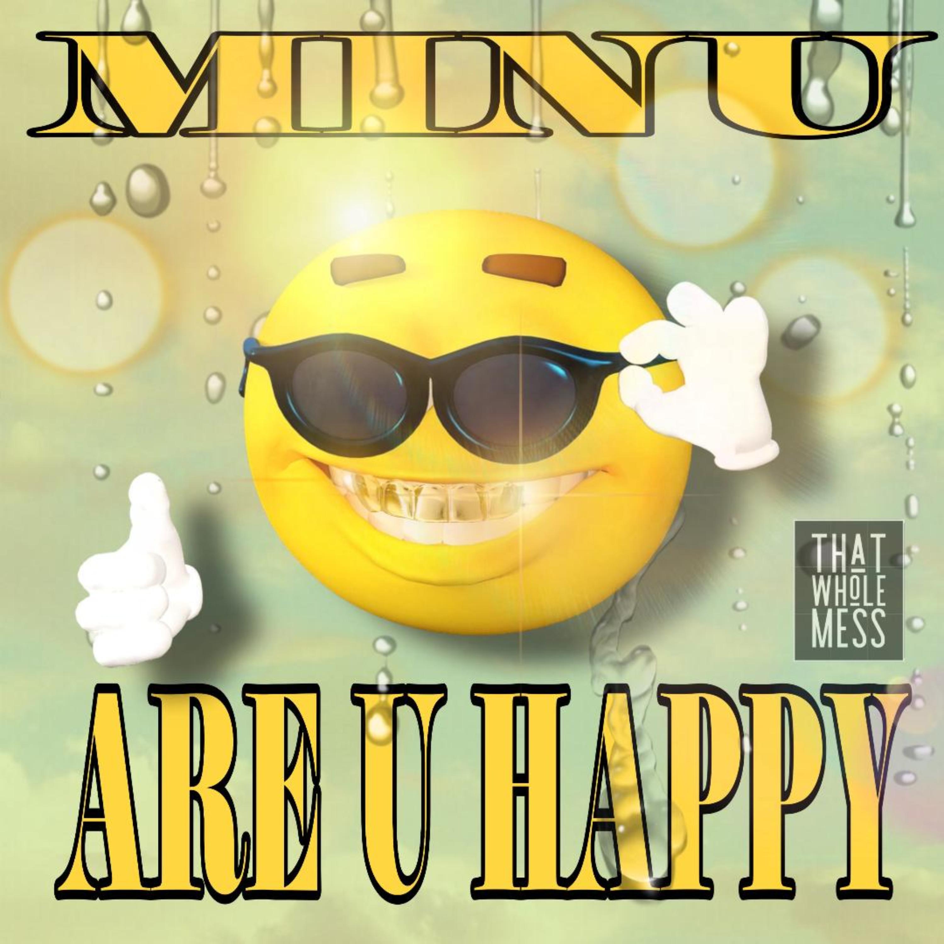 ARE U HAPPY artwork