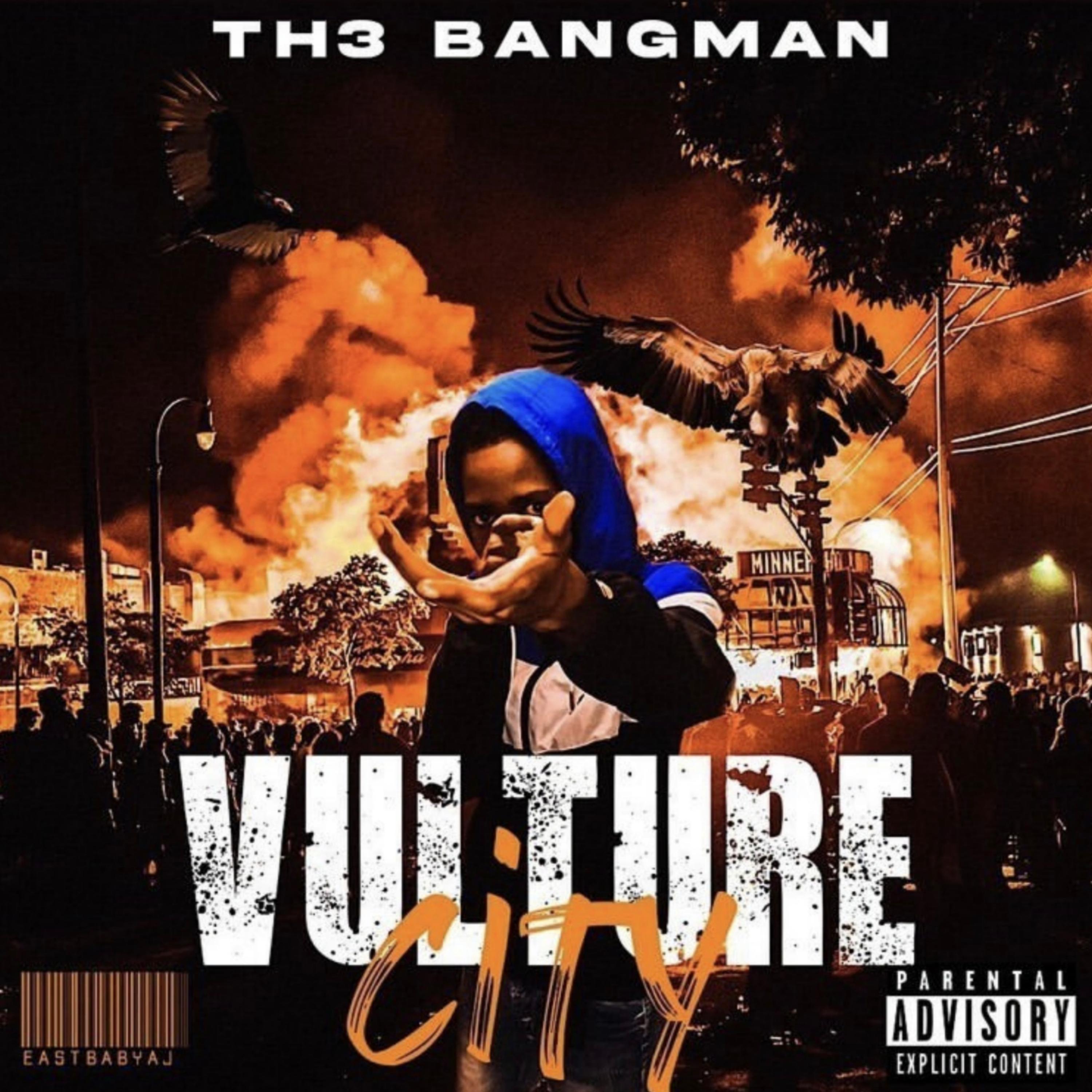 Vulture City by BigMoneyTye cover art