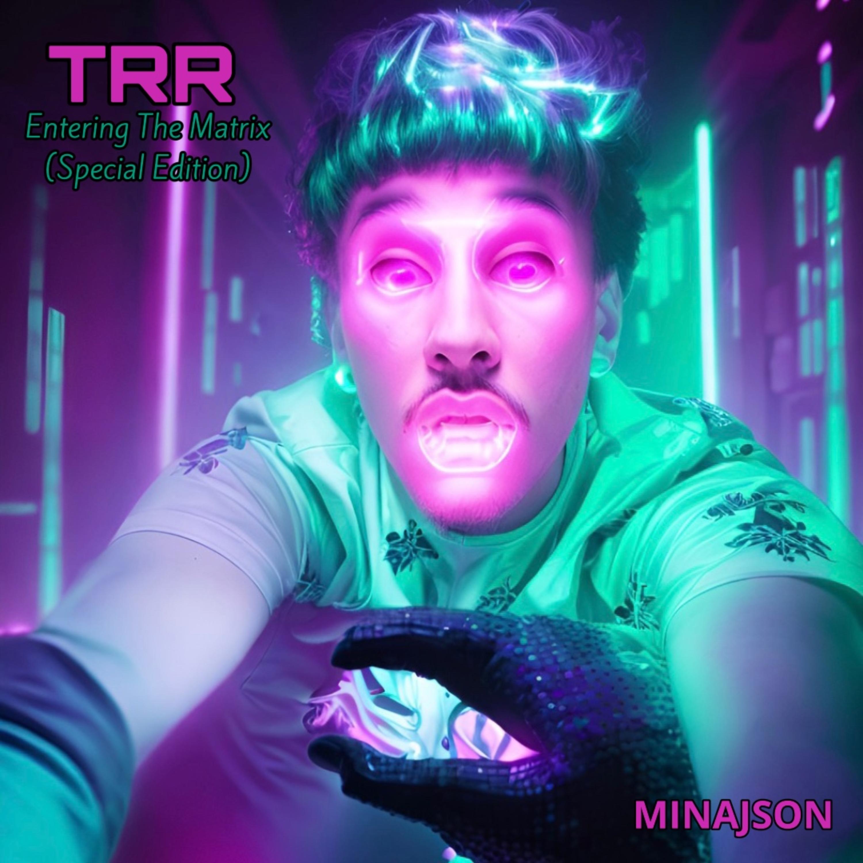 The Ricki Rave - Entering the Matrix (Special Edition) artwork