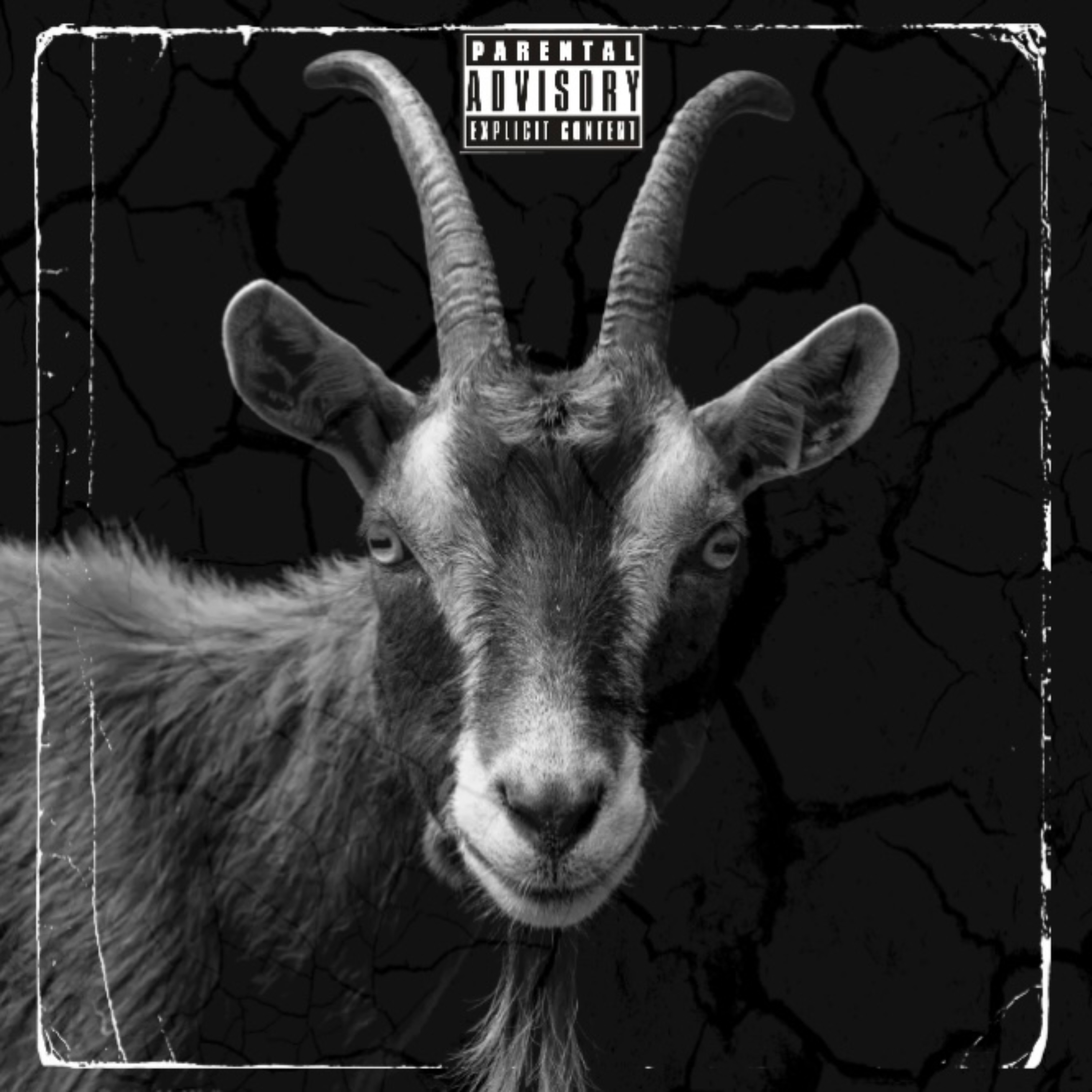 Goat artwork