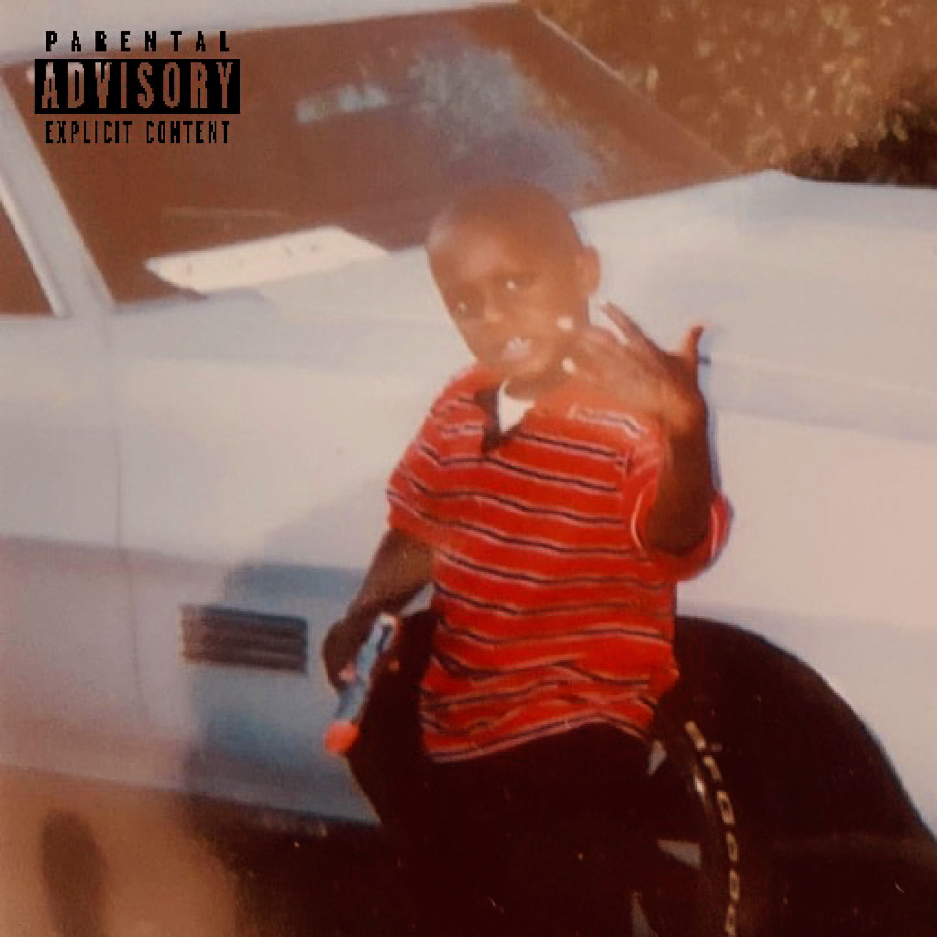 1995 artwork
