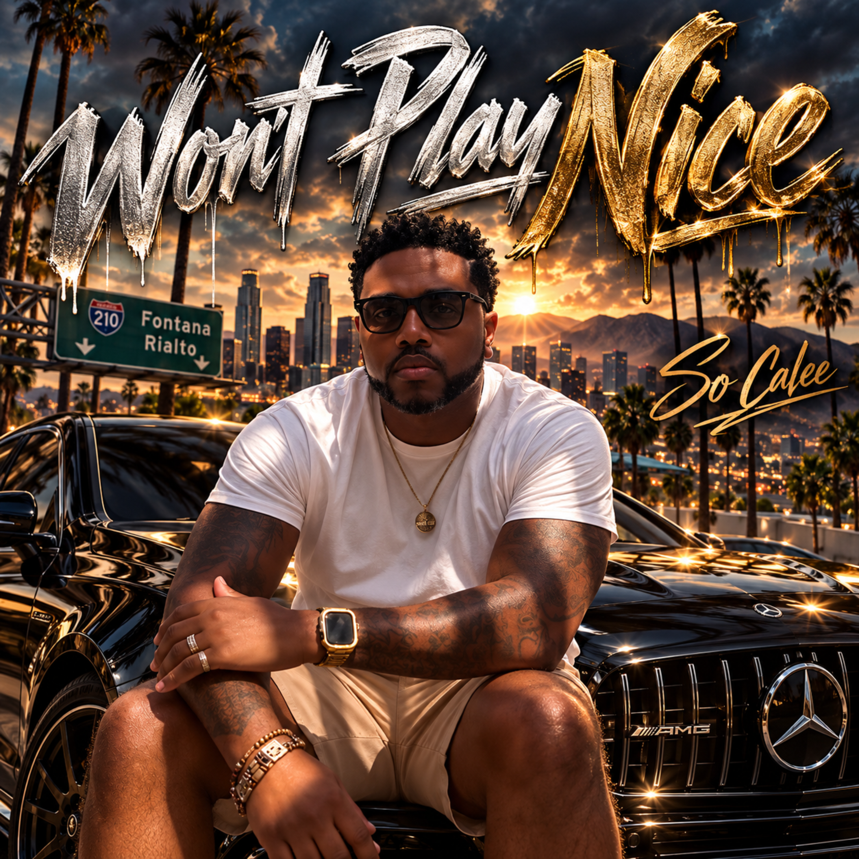 Won’t Play Nice by So Calee cover art