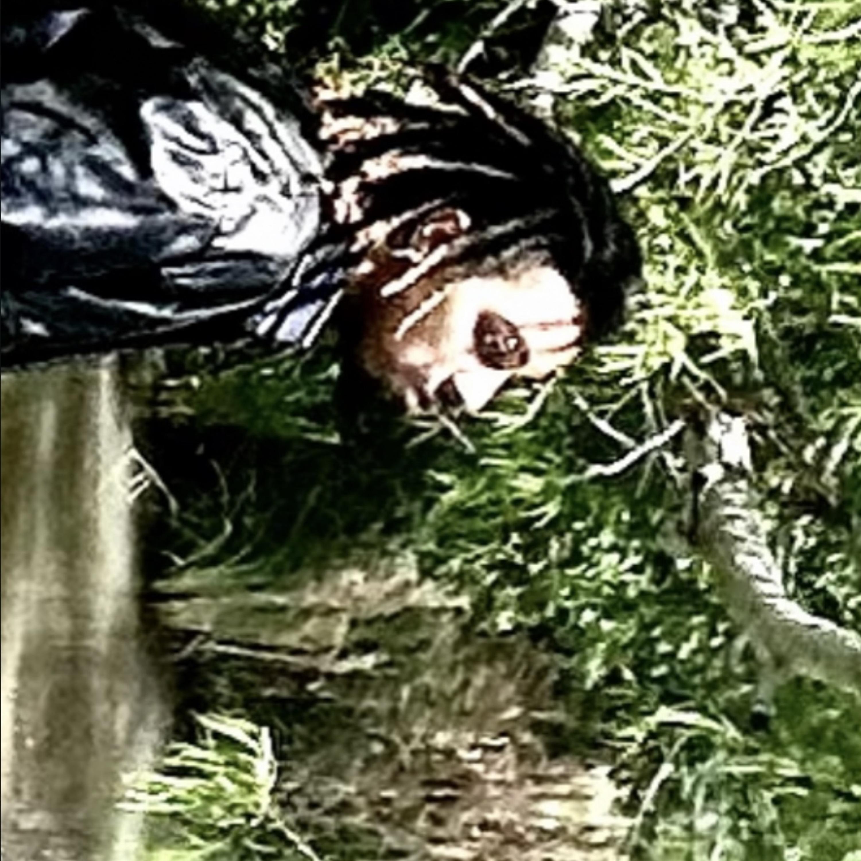 Petrified Heart artwork