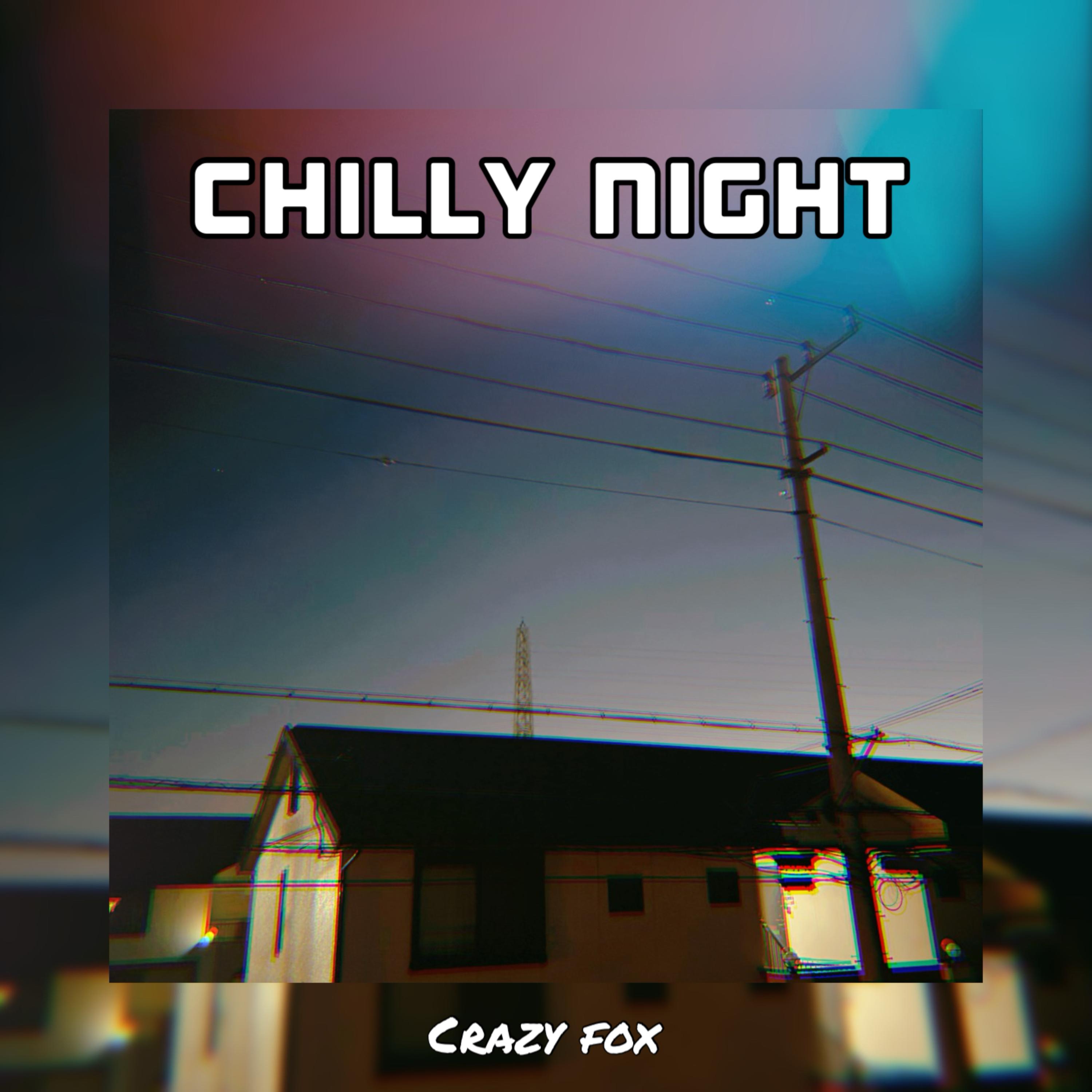 Chilly Night artwork