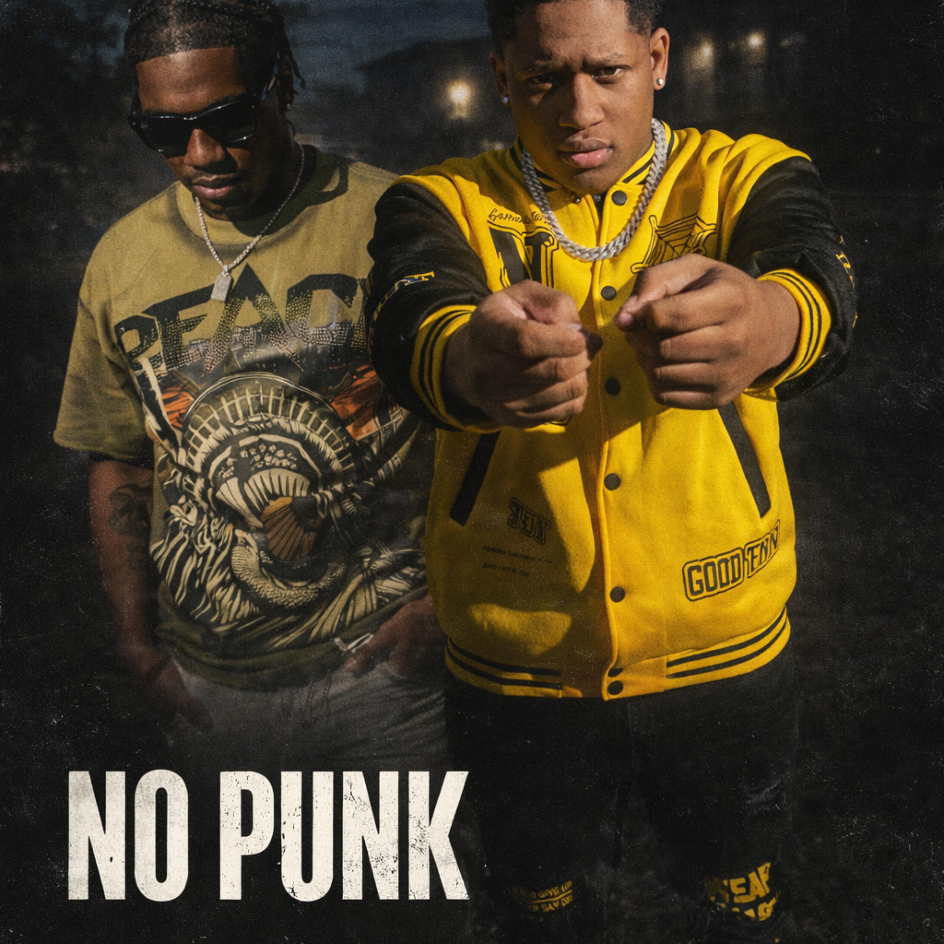 No Punk artwork
