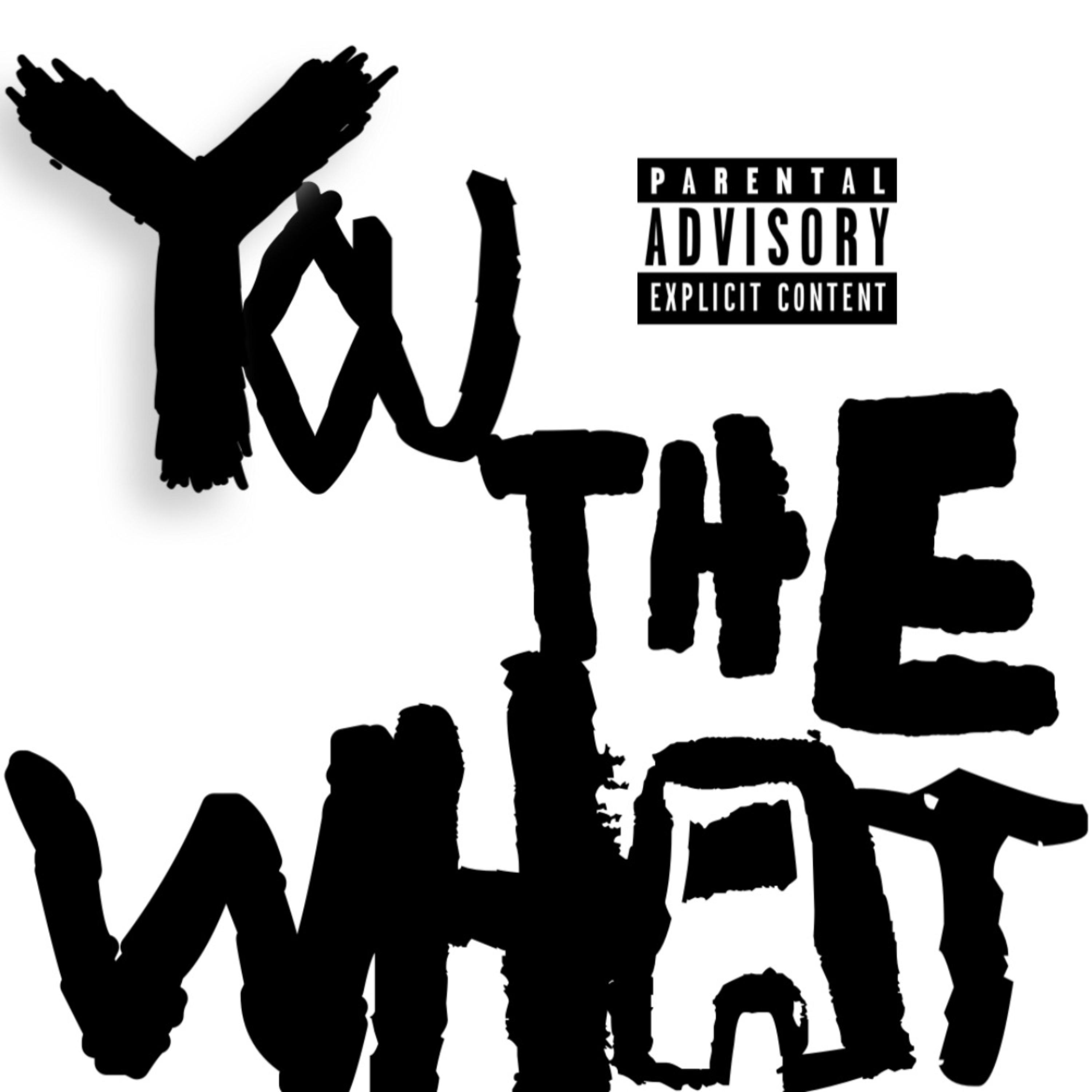 YOU THE WHAT??? artwork
