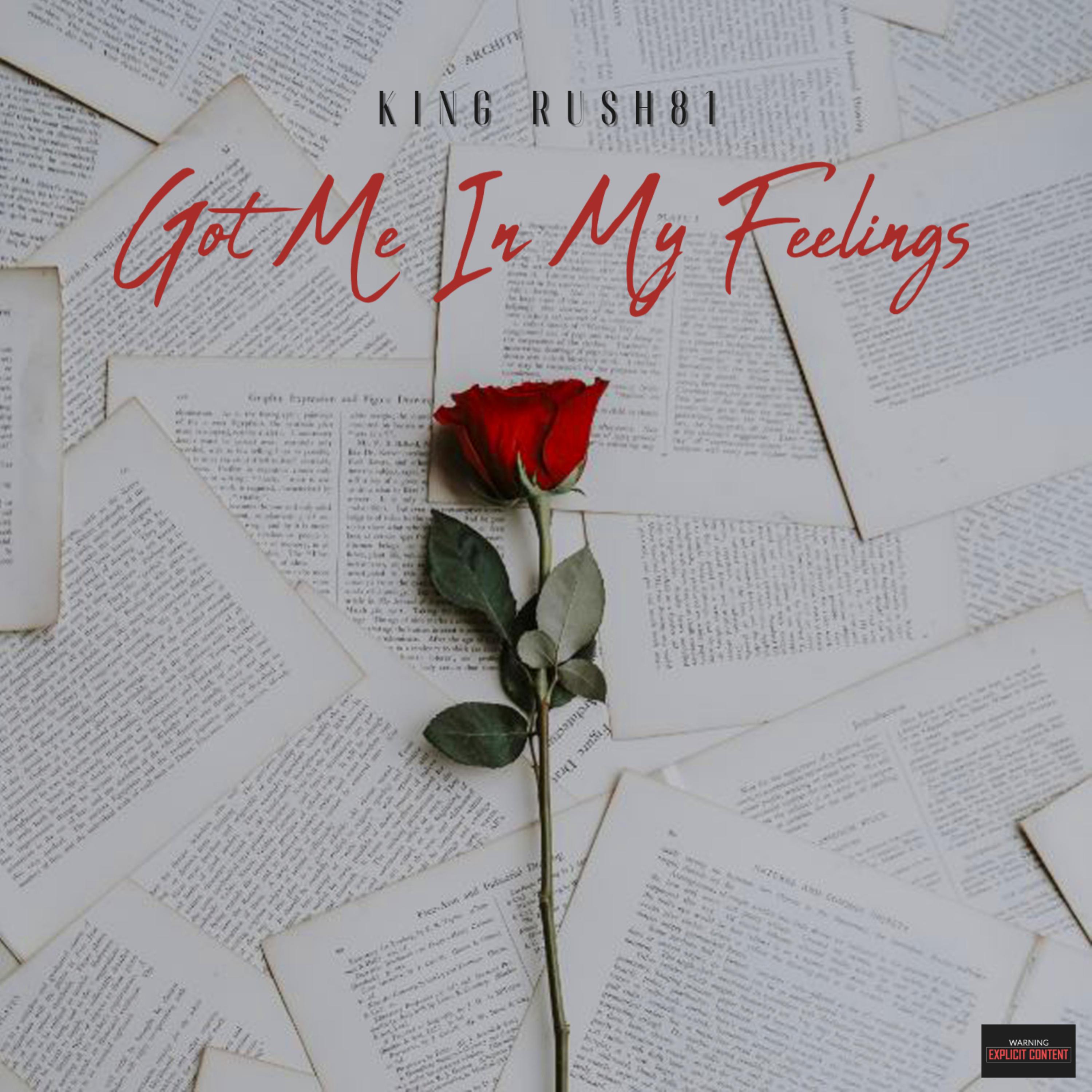 Got Me In My Feelings artwork
