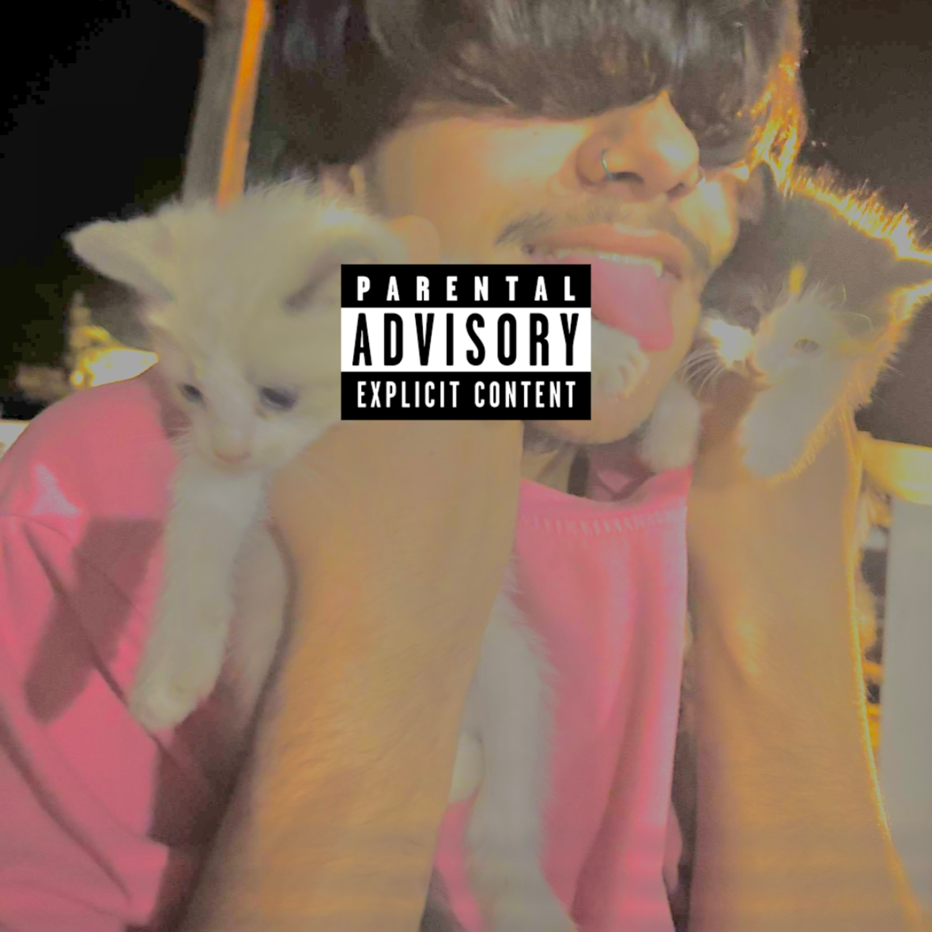 pablos gold artwork