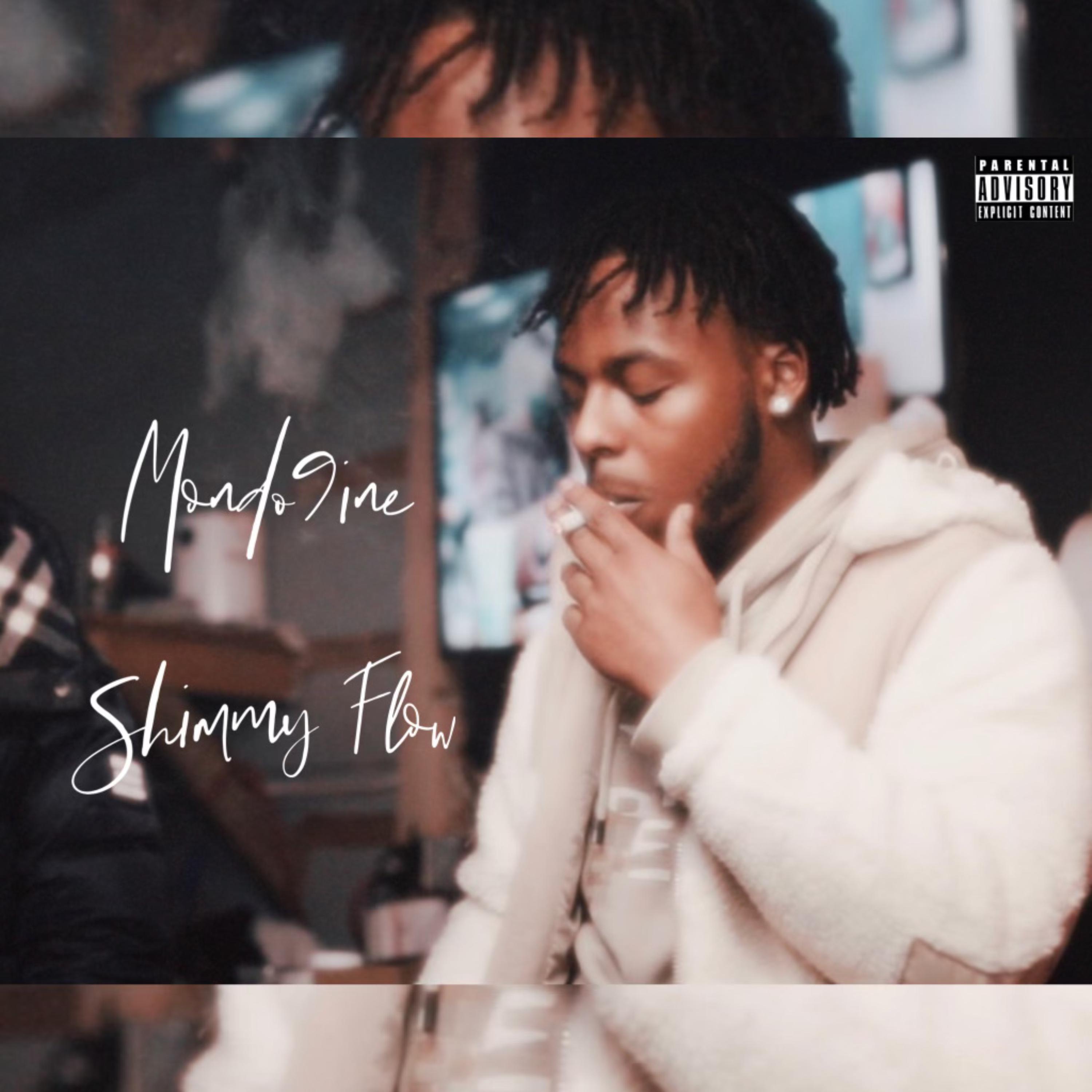 Shimmy Flow artwork