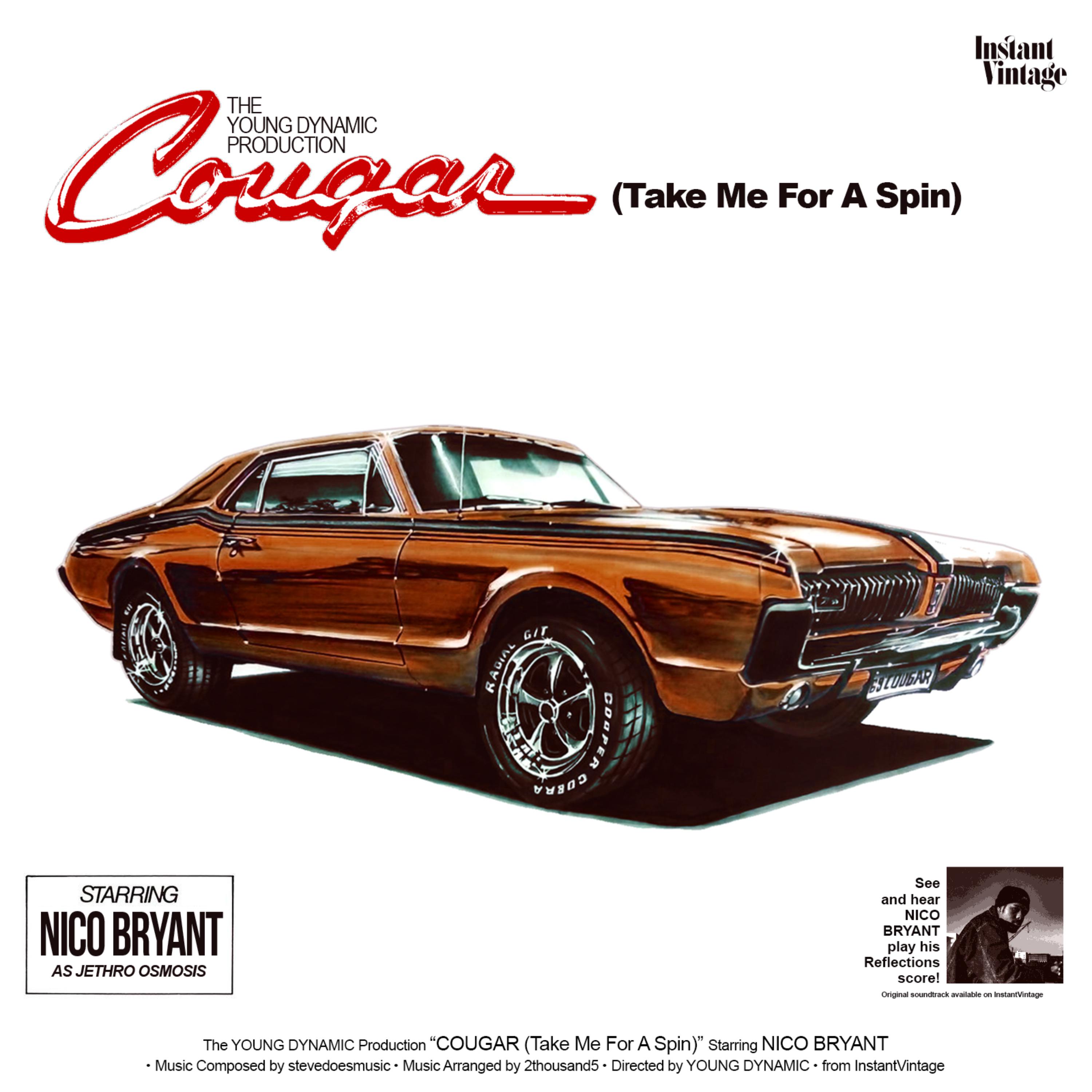 Cougar (Take Me For A Spin) artwork