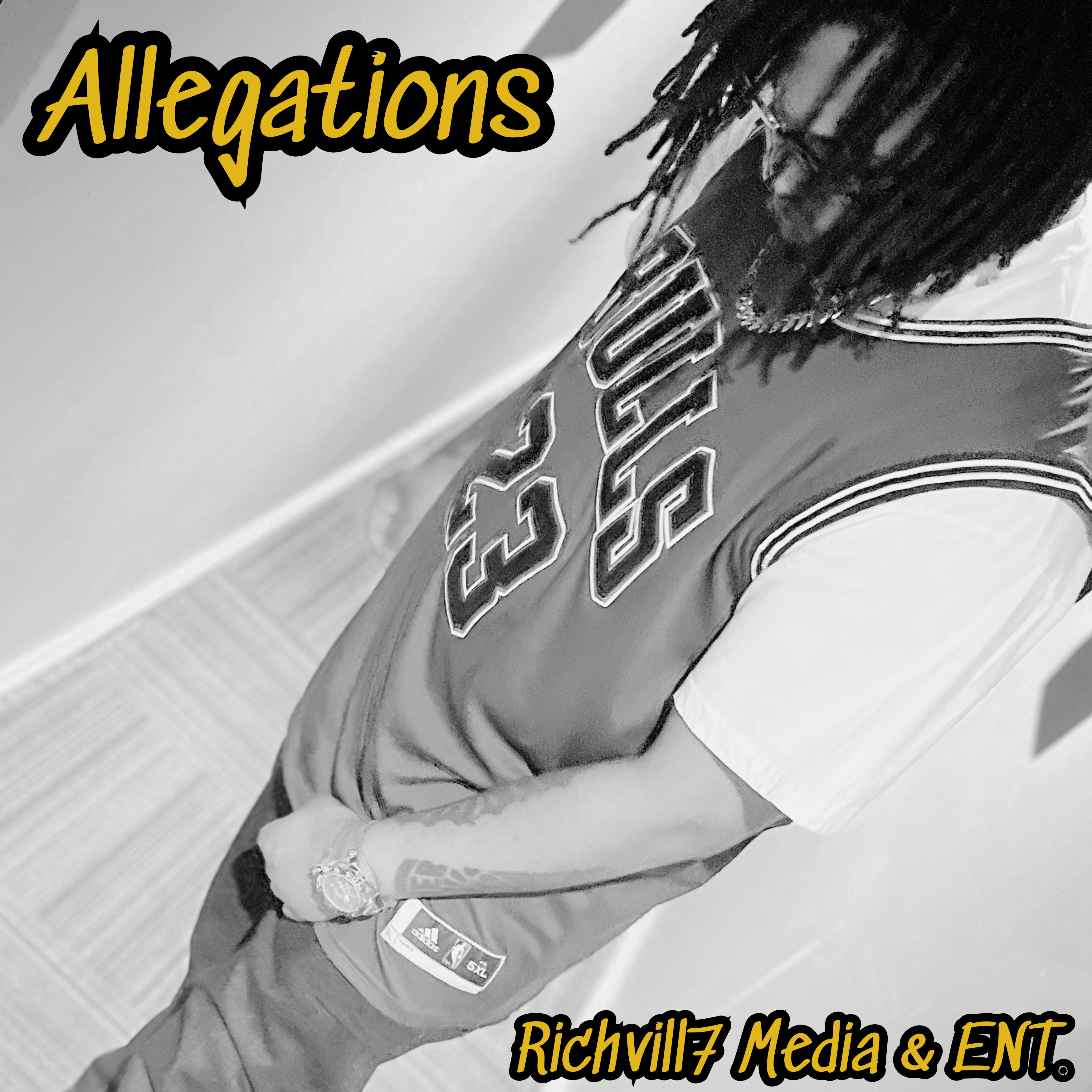 Allegations artwork