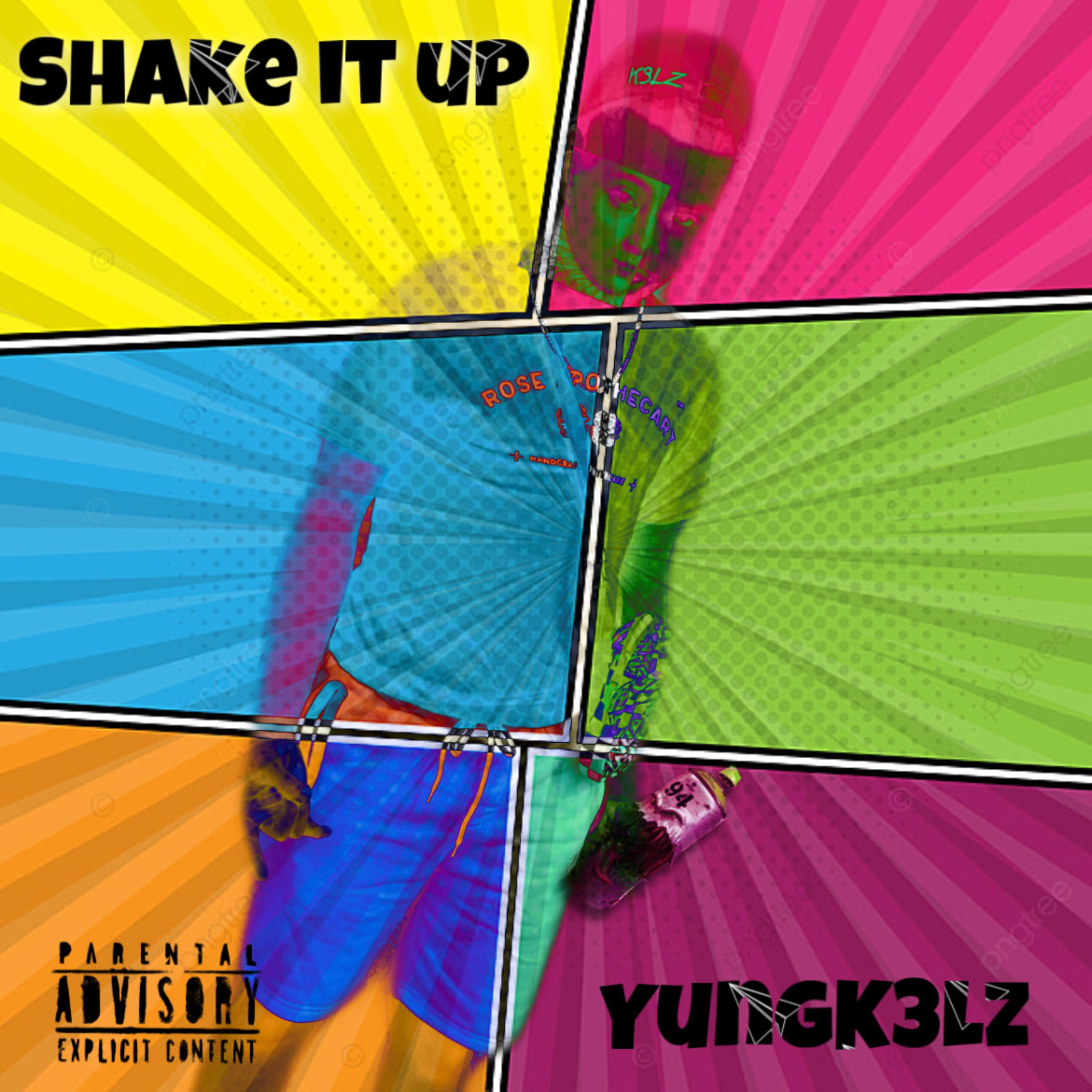 Shake It Up artwork